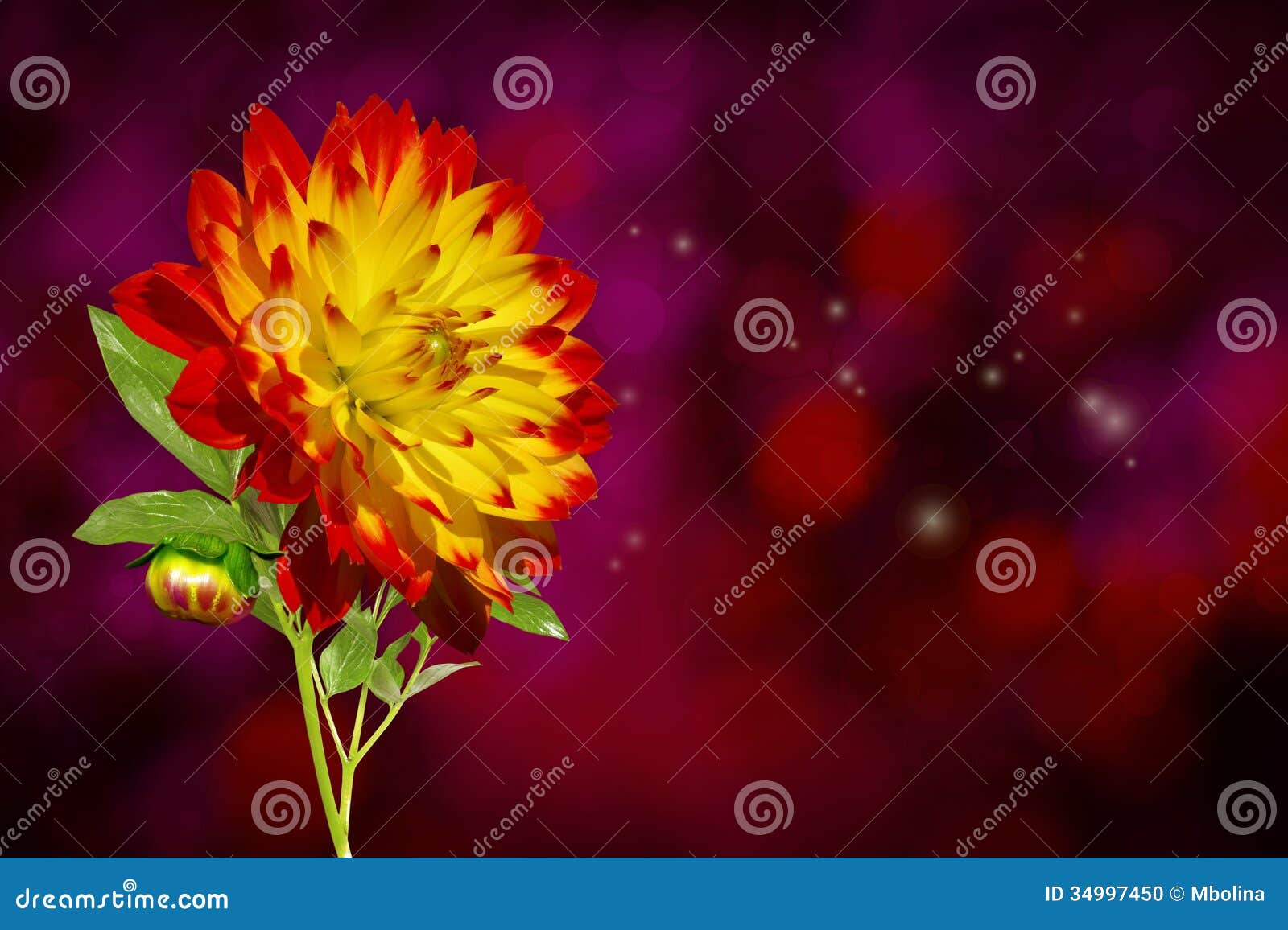45,994 Autumn Flower Wallpaper Stock Photos - Free & Royalty-Free Stock  Photos from Dreamstime