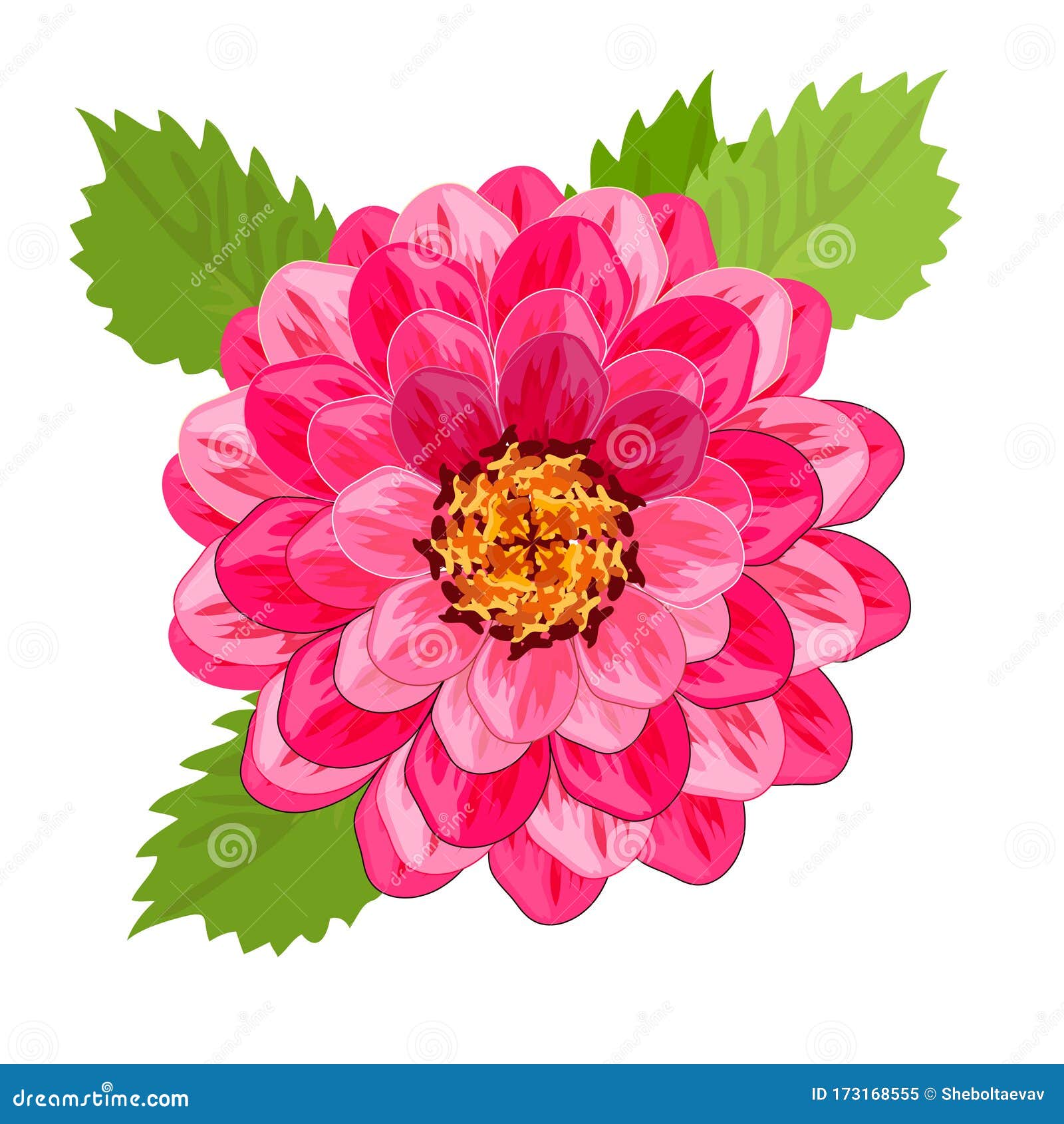 dahlia-flower-vector-image-closeup-stock-vector-illustration-of