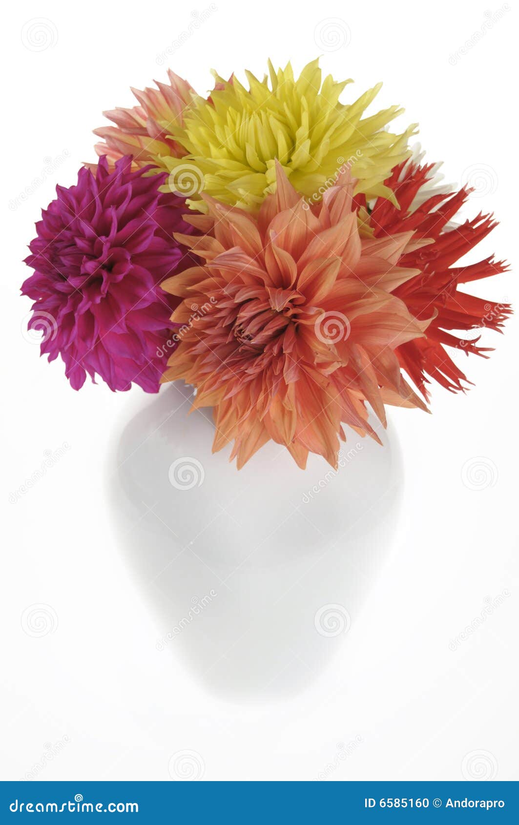 Dahlias in a vase stock photo. Image of china, valentines 6585160