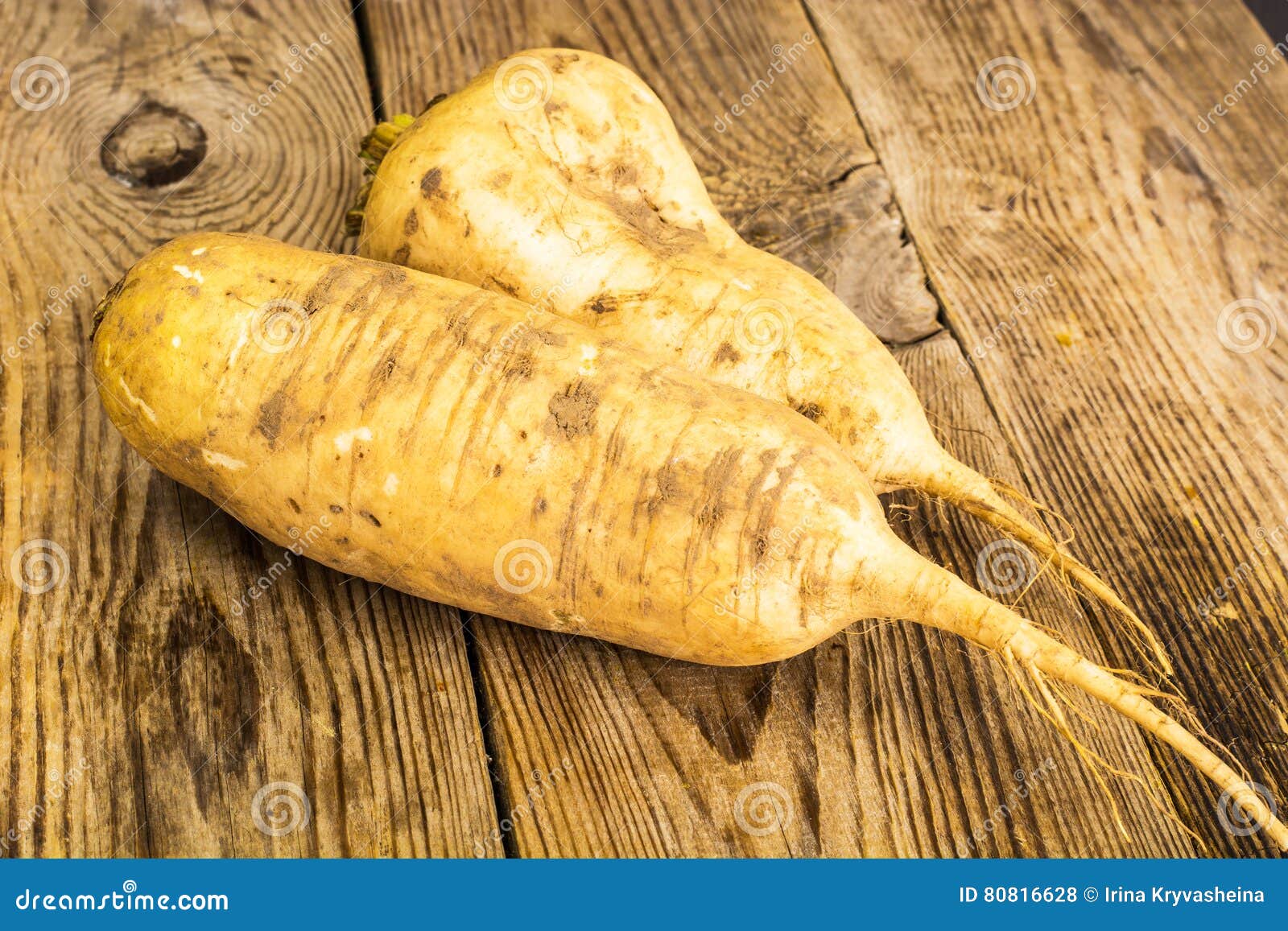 Daikon Popular Japanese Root Vegetable Stock Photo Image of farm