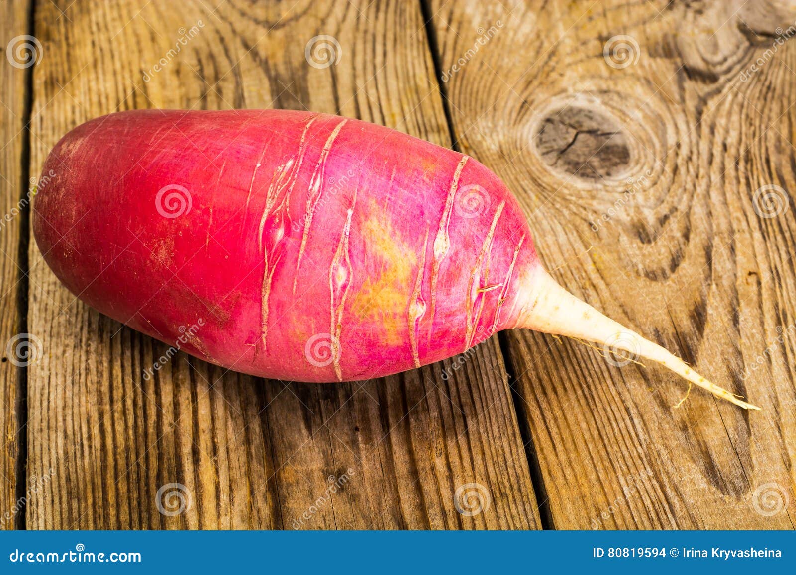 Daikon Popular Japanese Root Vegetable Stock Photo Image of color