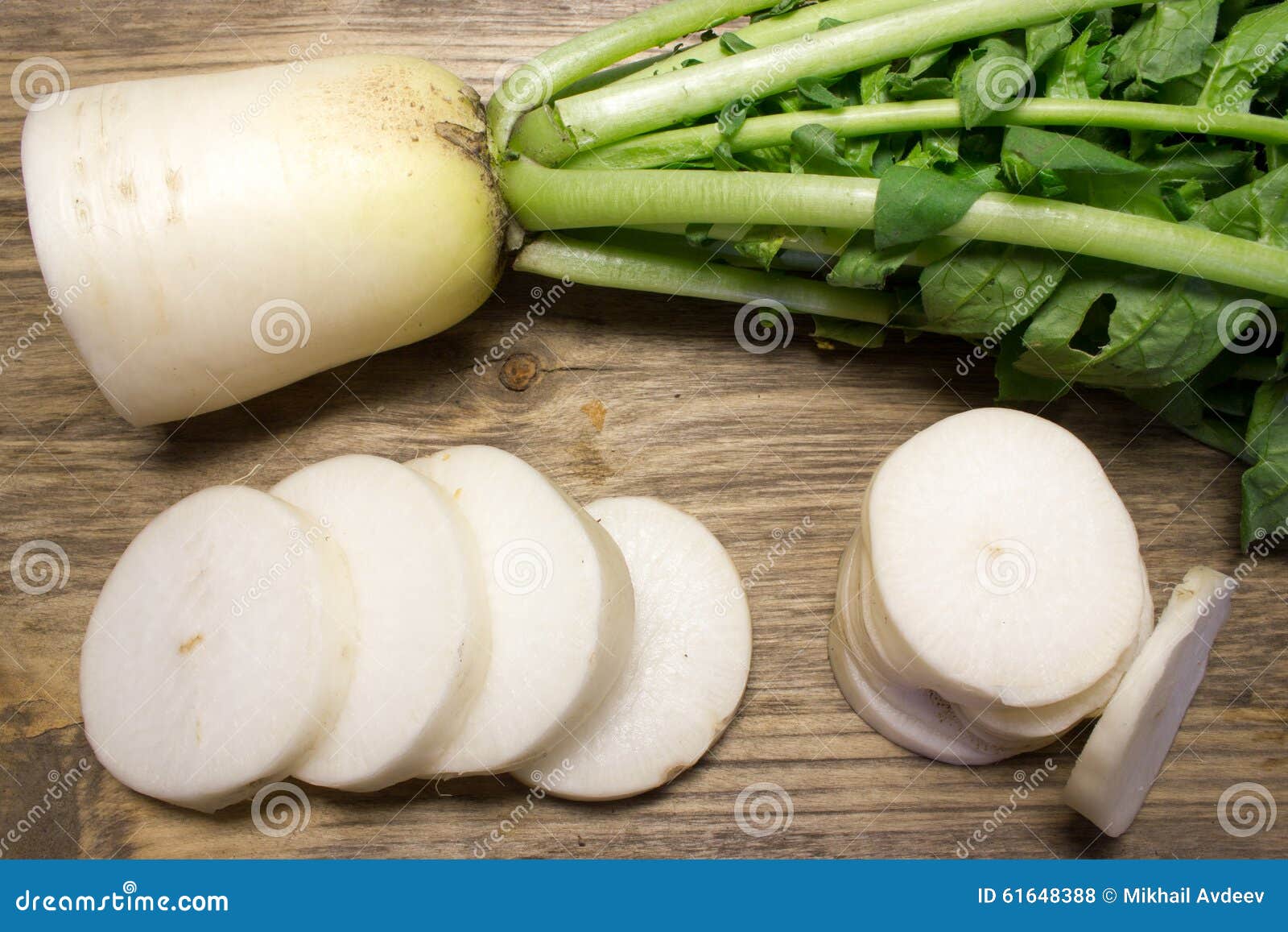 Daikon radish stock photo. Image of canvas, green, legume 61648388