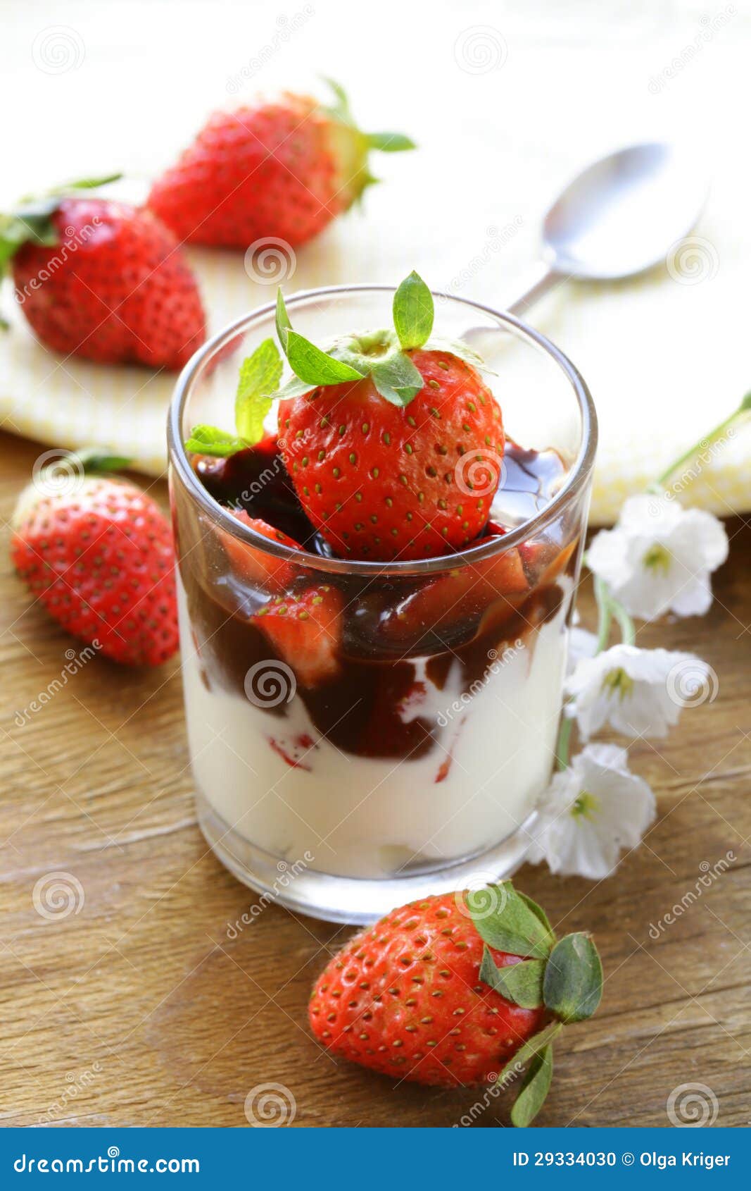Dairy Dessert with Chocolate Sauce Stock Photo Image of tiramisu