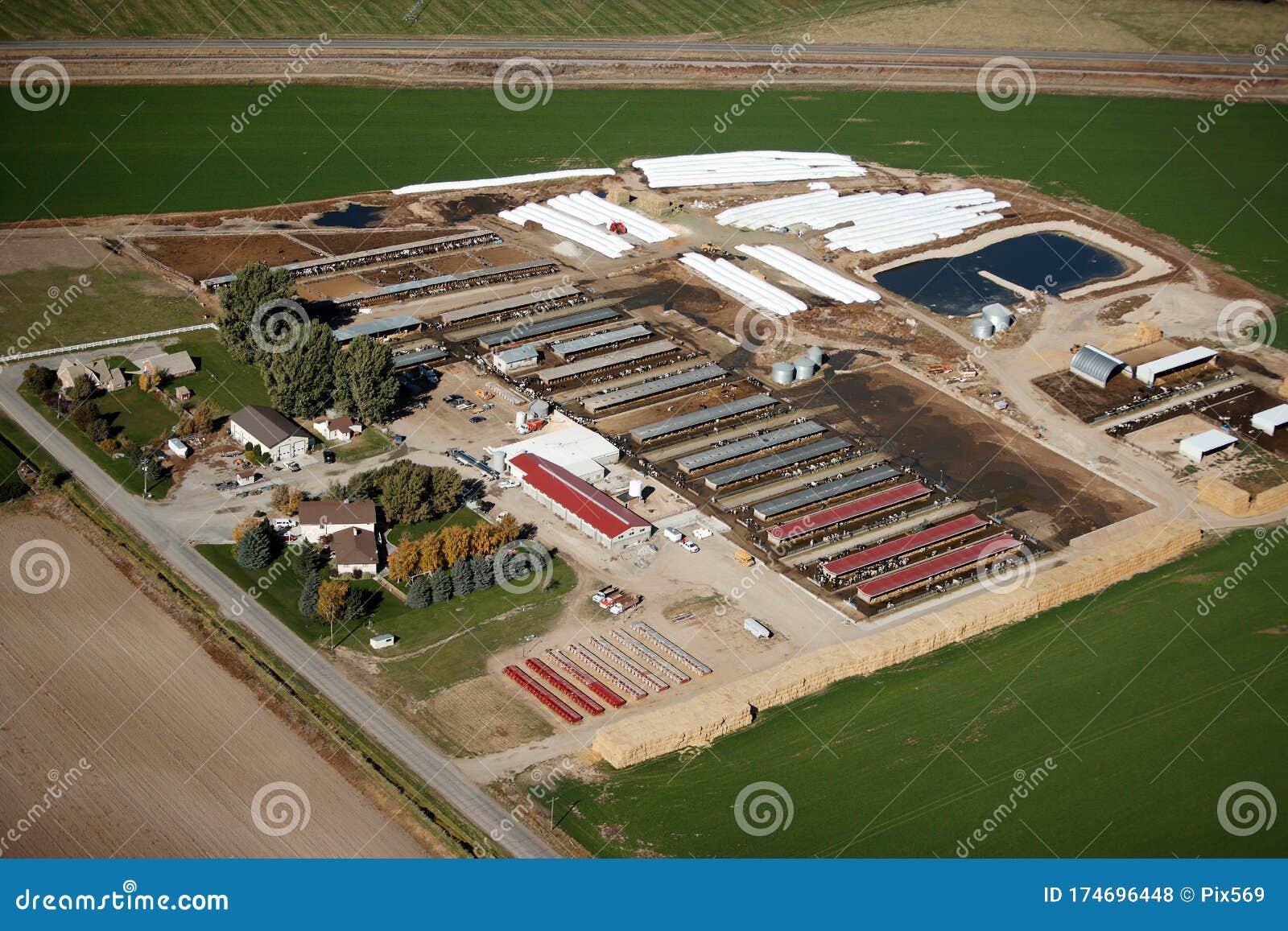 golden view farm declo id golden view farm declo id