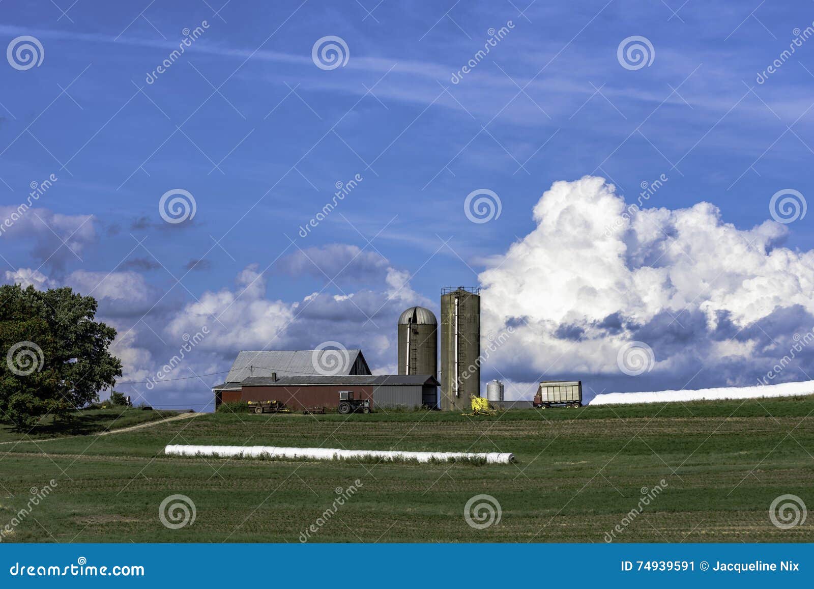 Dairy Farm on a Hill with Blue Sky Horizontal Stock Image Image of