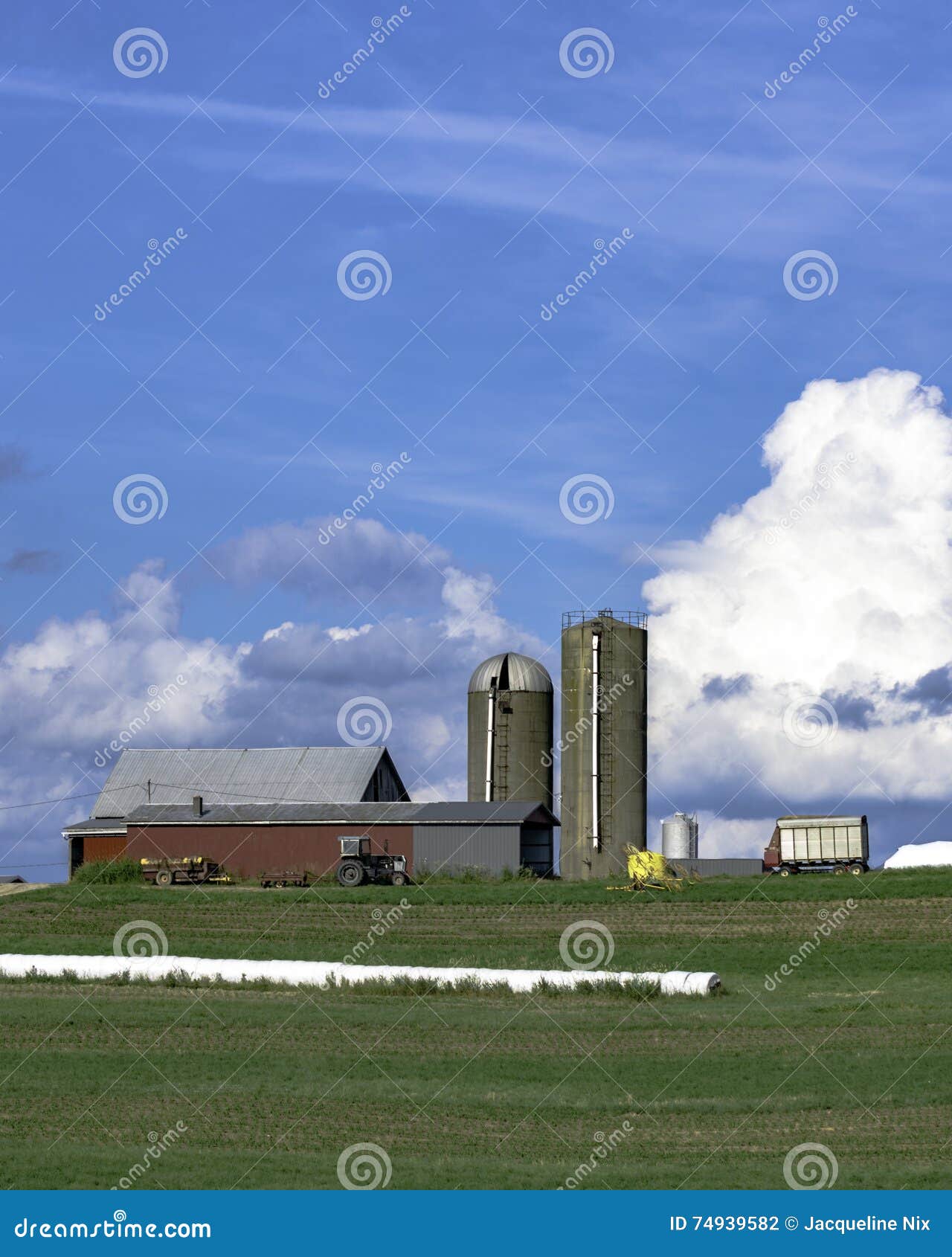 Dairy Farm on a Hill Vertical Stock Photo Image of countryside