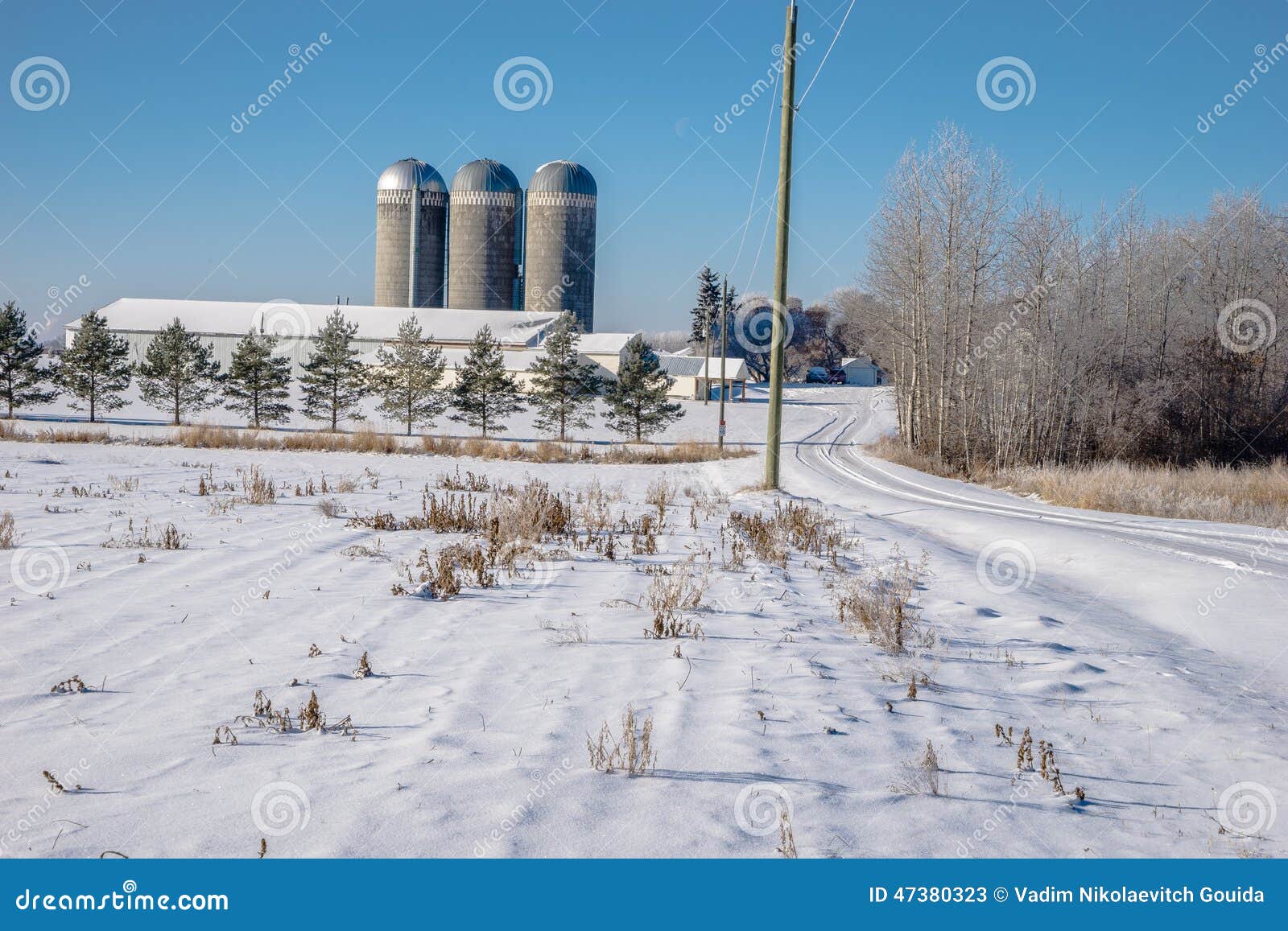 Dairy Farm in winter stock image. Image of blue, agriculture 47380323