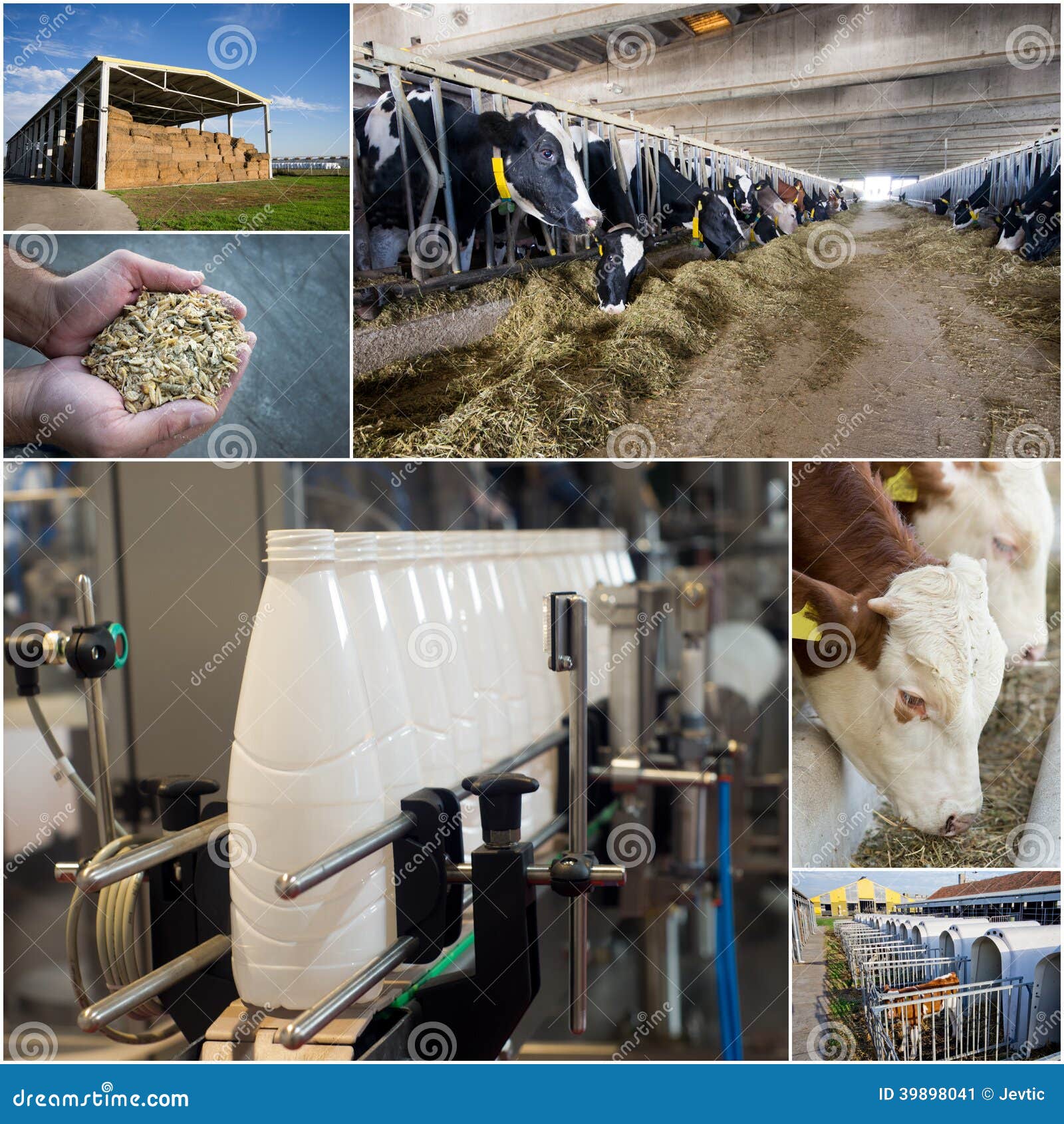 Dairy industry stock image. Image of industrialization 39898041