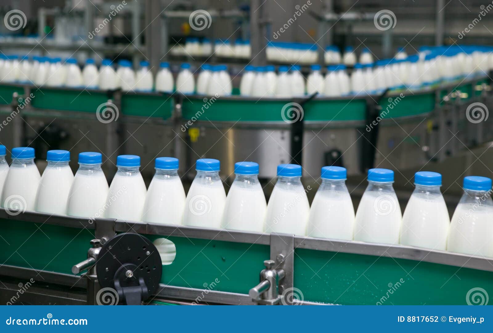 Dairy Plant. stock photo. Image of produce, food, equipment - 8817652