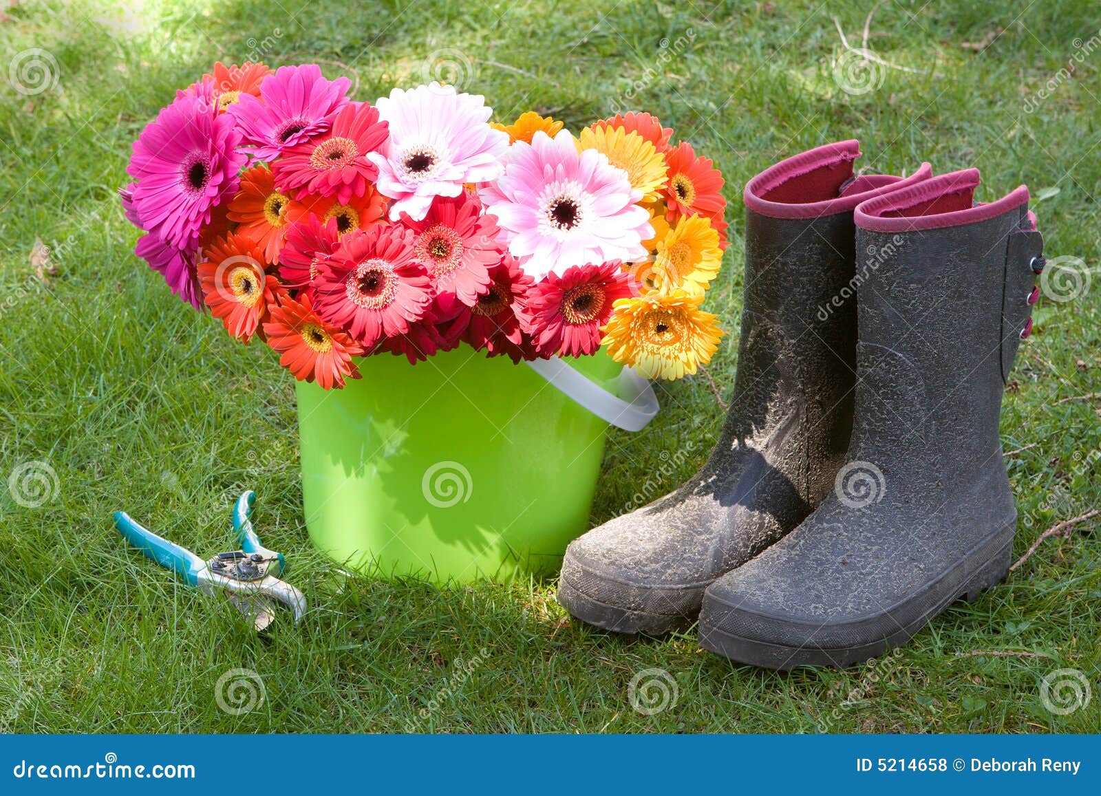 daisies, boots, & secateurs - yard work