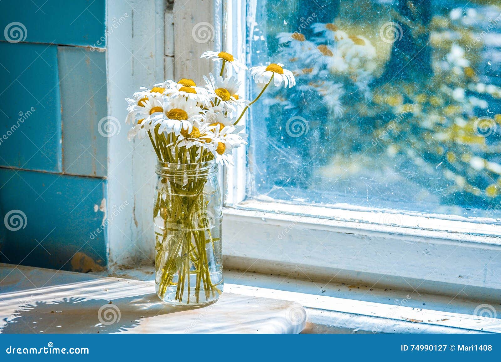 Daisies in a Glass Jar Near Window Stock Image Image of shadow, cute