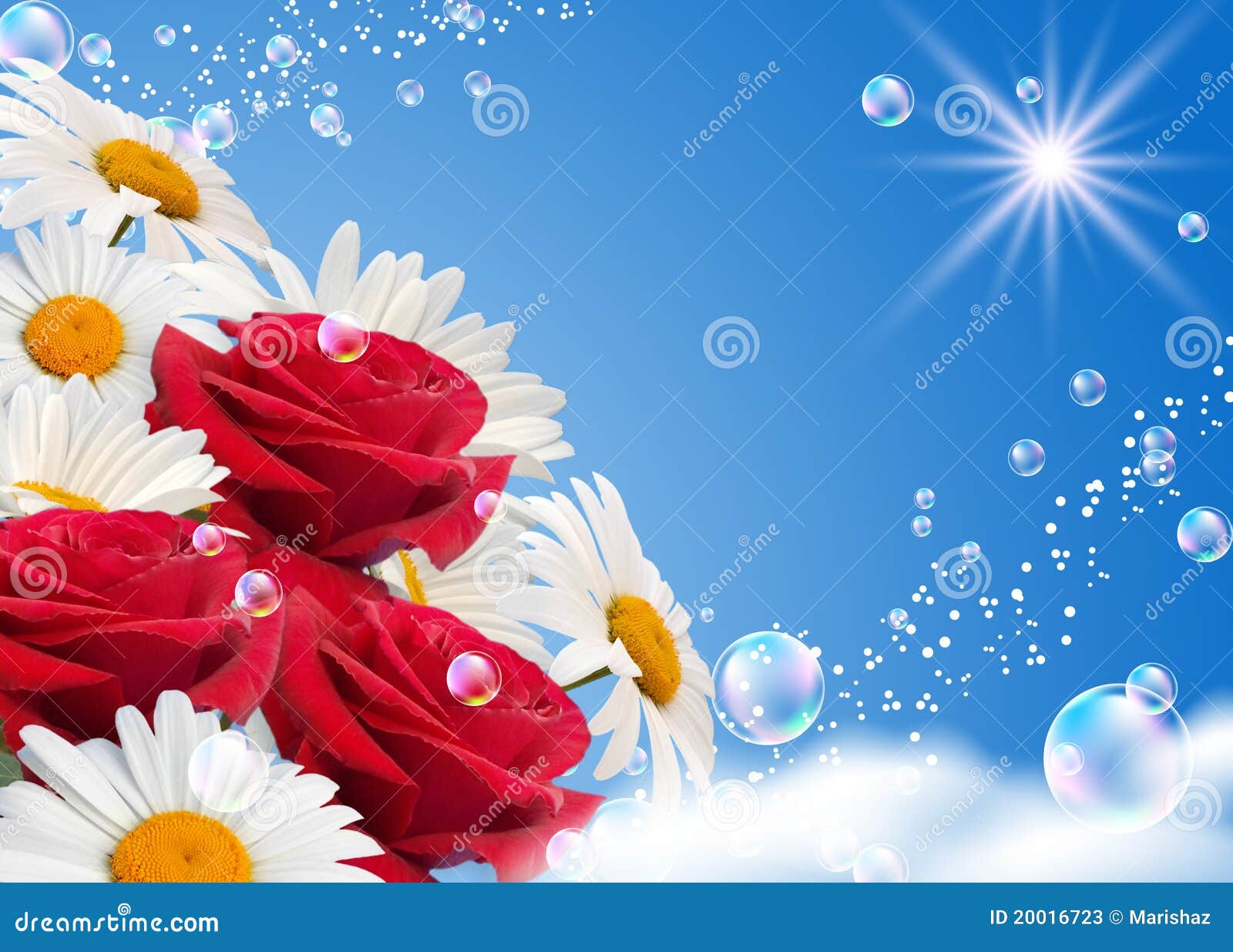 Daisies and roses stock image. Image of beautiful, outdoor 20016723