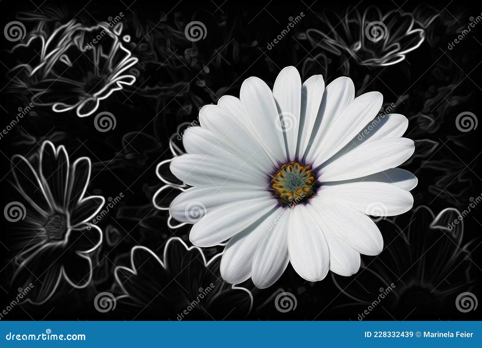 Daisies and shades of gray stock image. Image of effect 228332439
