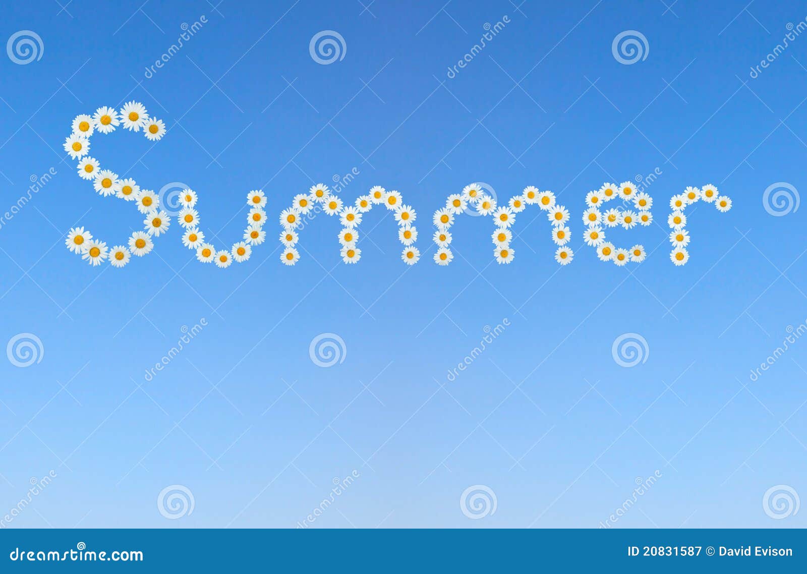Daisies spelling summer. stock image. Image of cheerful 20831587