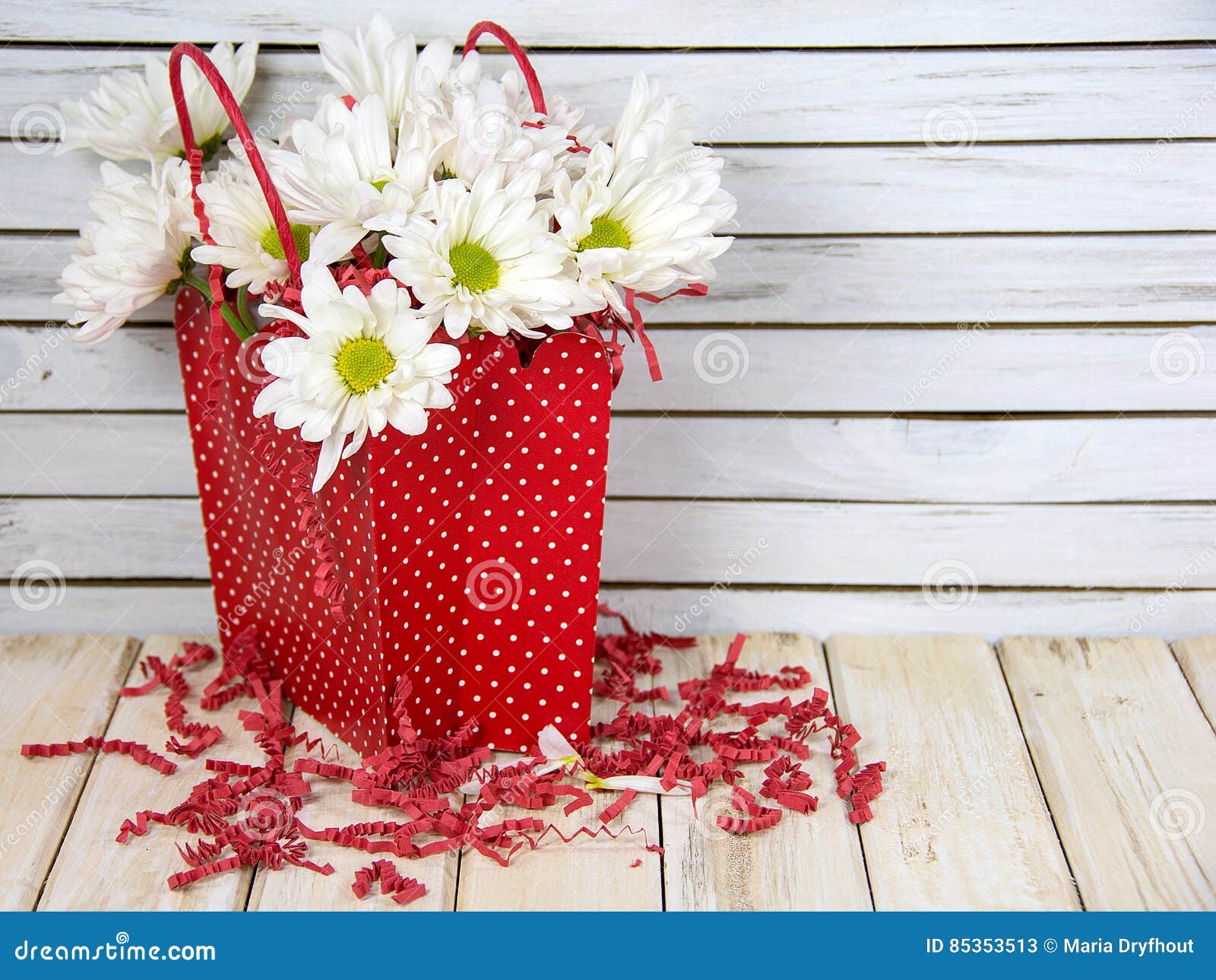 Daisy Bouquet in Red Polka Dot Gift Bag Stock Image Image of flower, rustic 85353513