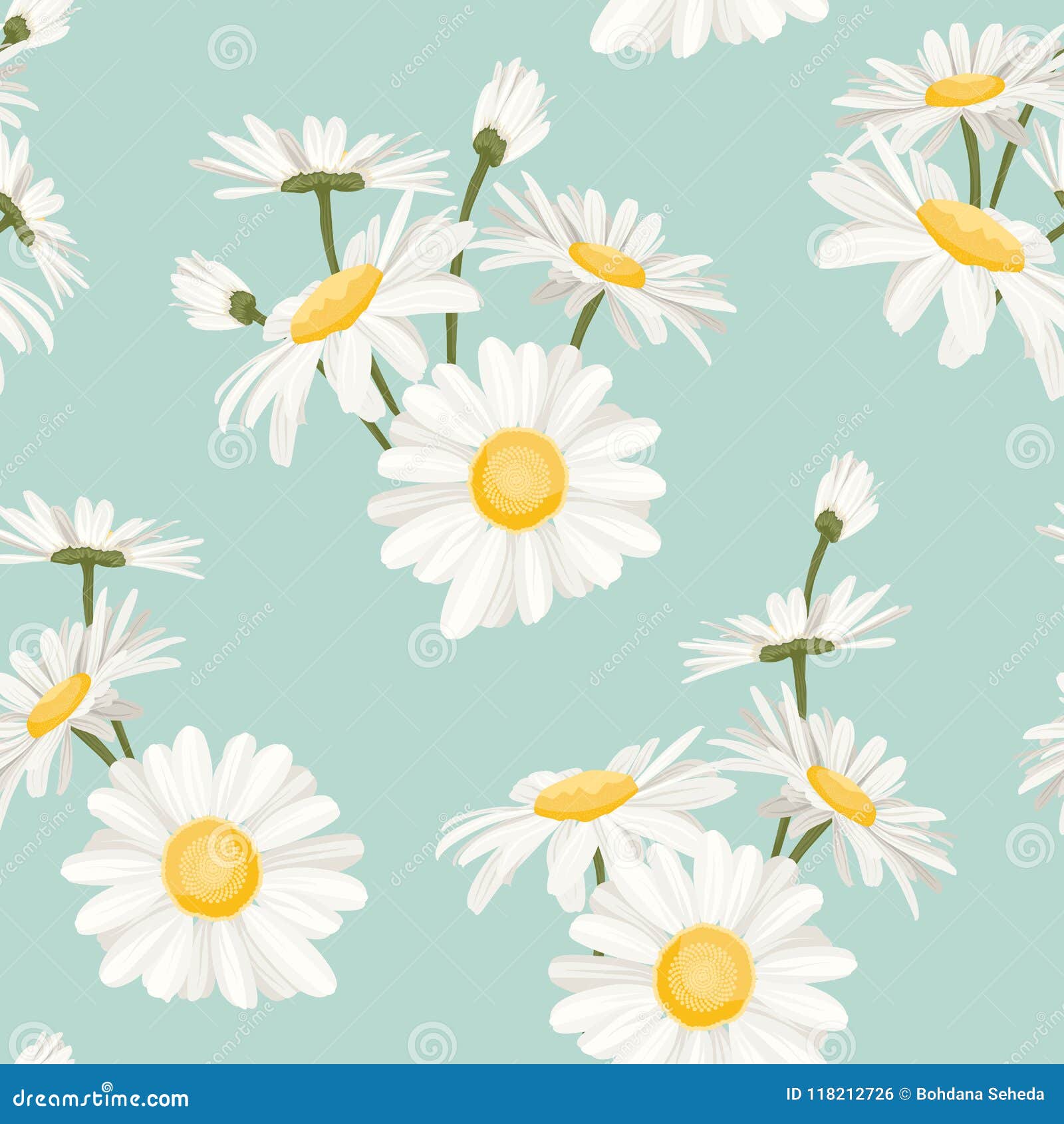 daisy chamomile spring summer flowers pattern