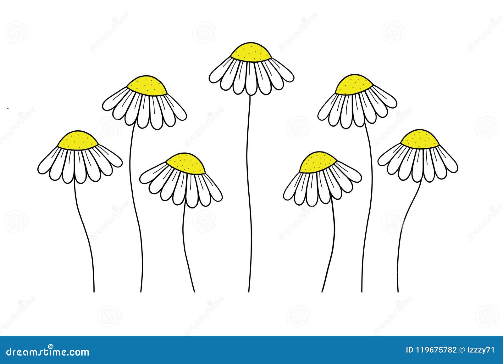 Daisy doodle drawing stock illustration. Illustration of white 119675782