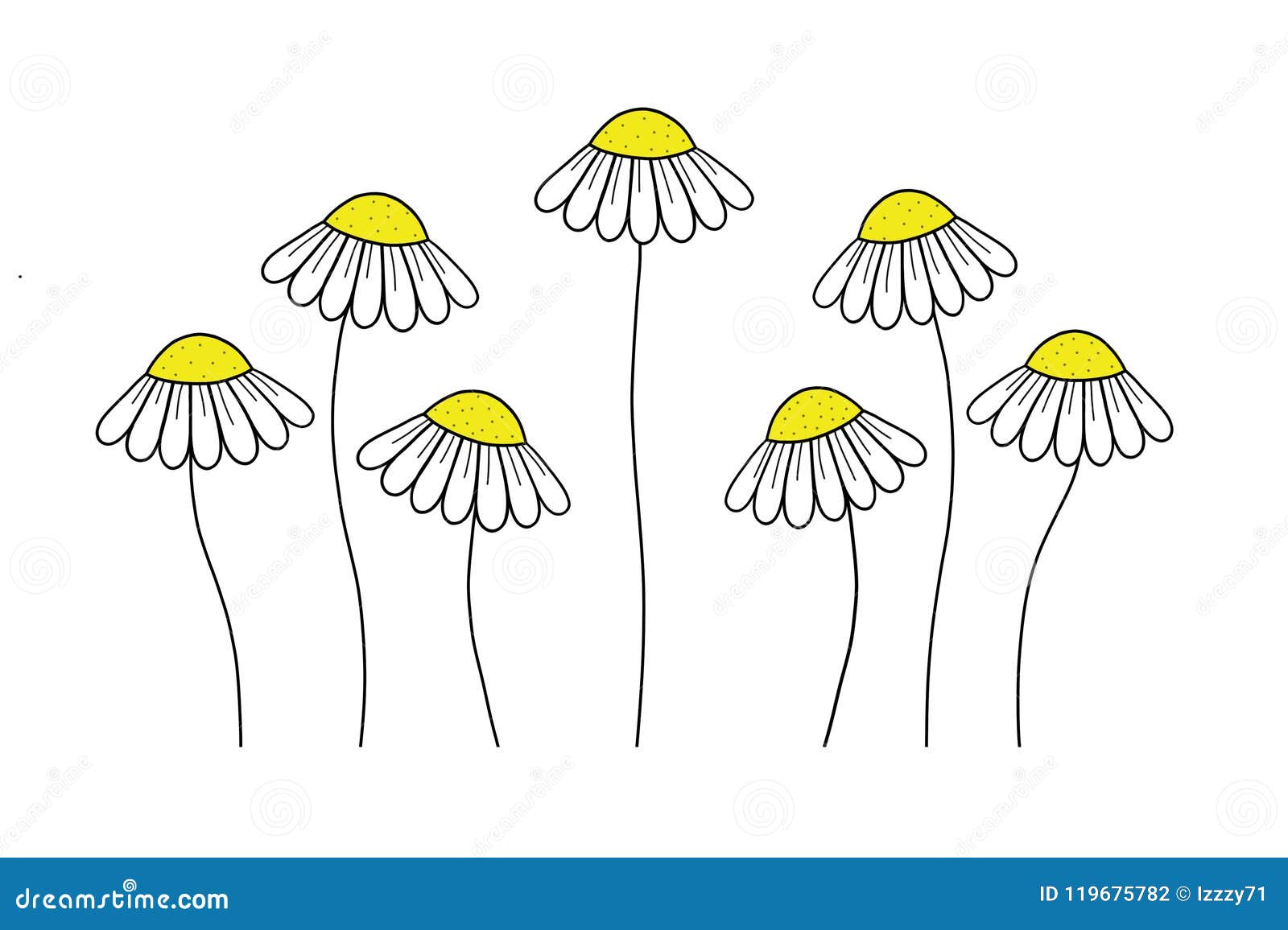 Daisy doodle drawing stock illustration. Illustration of white - 119675782