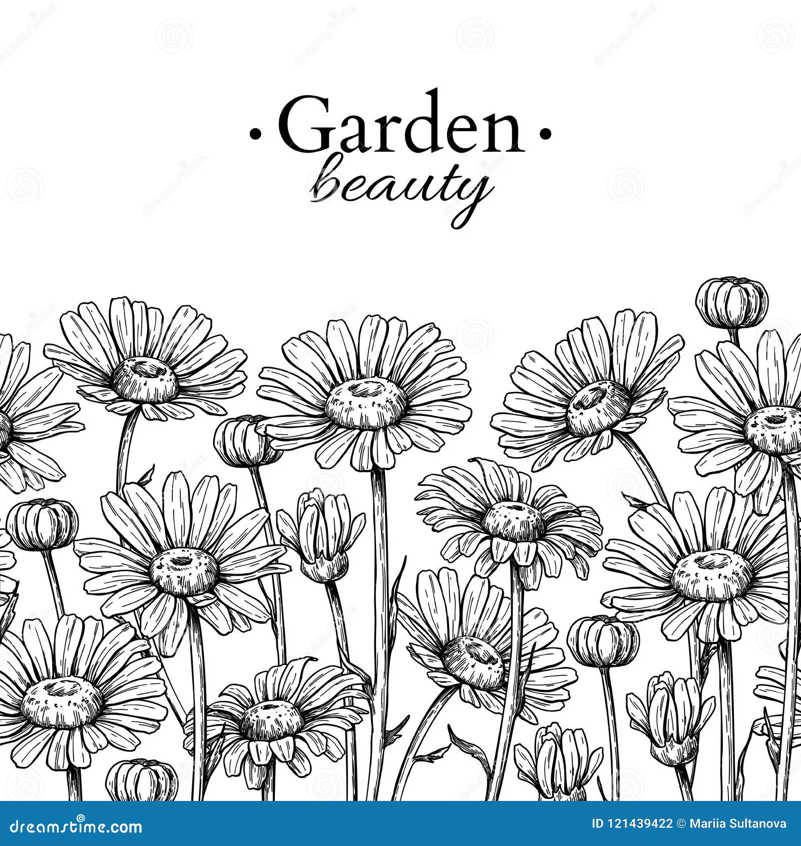 Border Flowers Drawing Clip Art, PNG, 1285x1600px, Border Flowers, Art,  Drawing, Flora, Floral Design Download Free