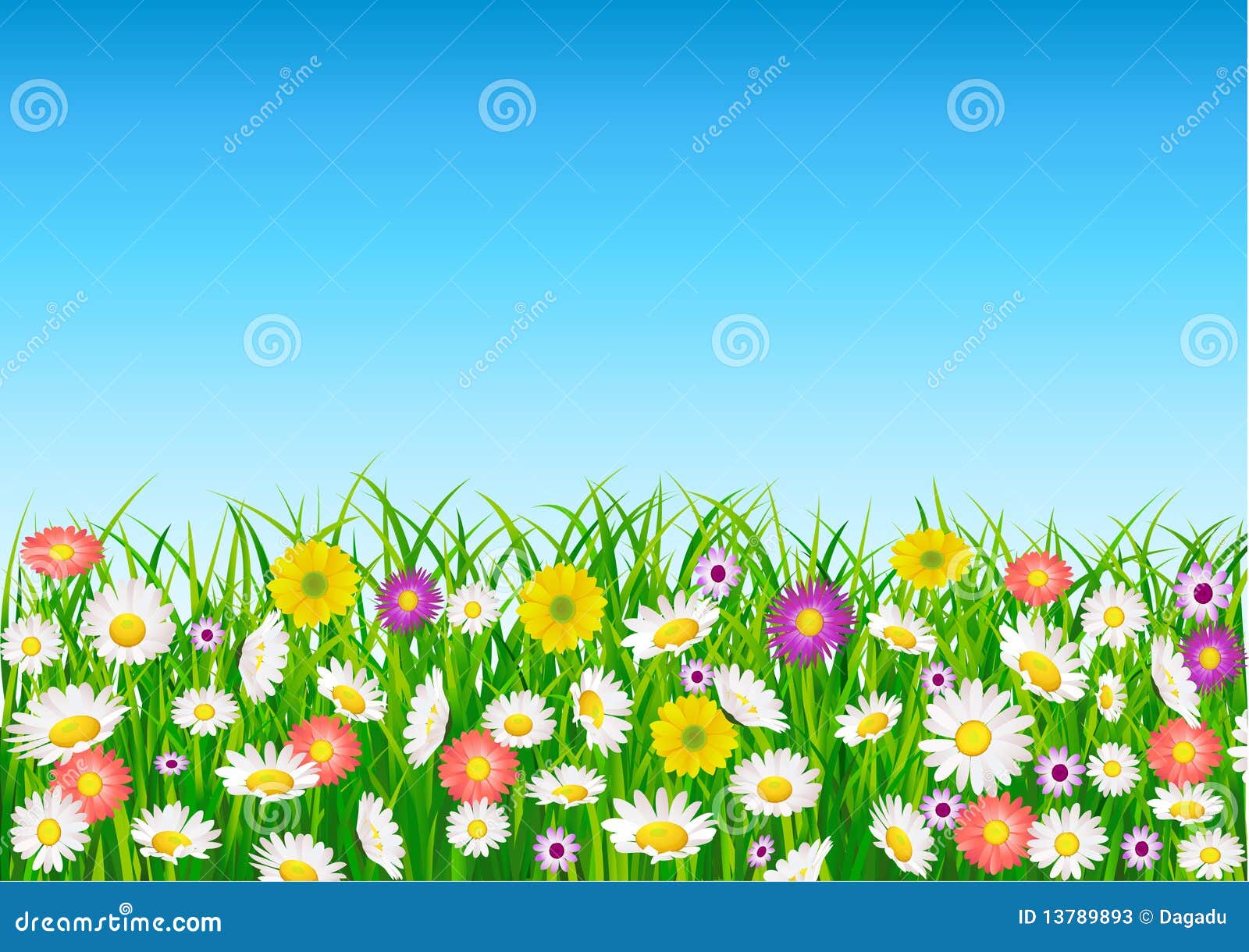 Daisy flower field stock vector. Illustration of horizon 13789893
