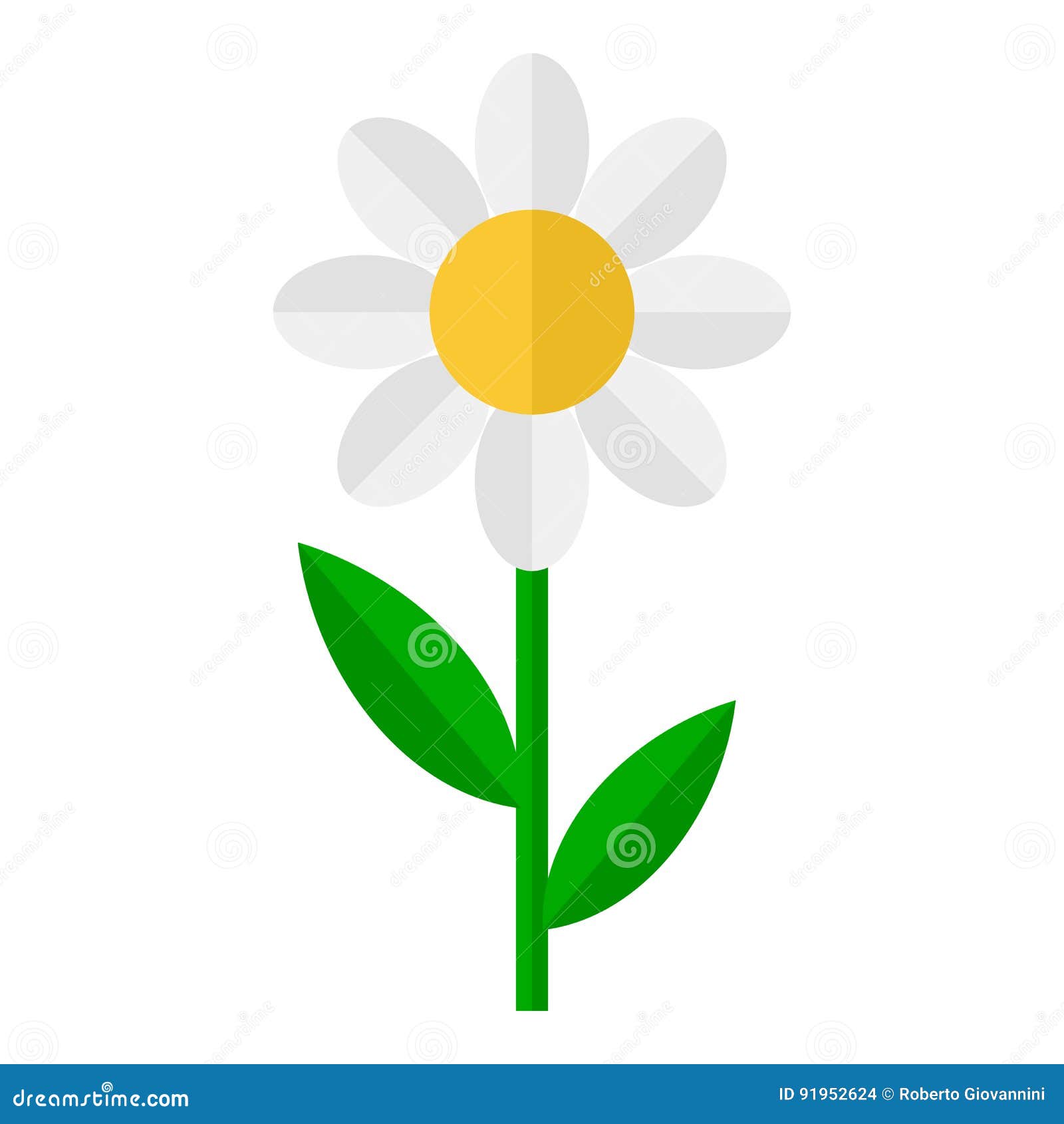 Daisy Flower Flat Icon Isolated on White Stock Vector Illustration of