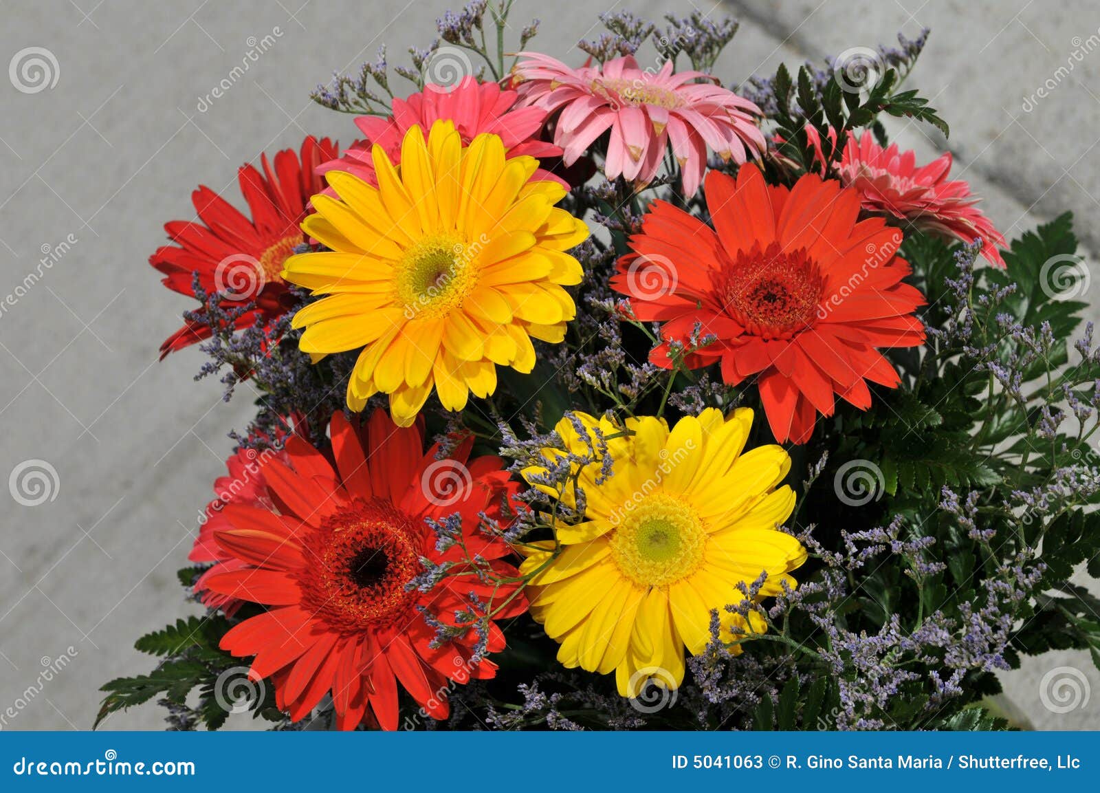 Daisy Flowers in Bouquet stock image. Image of bouquet 5041063
