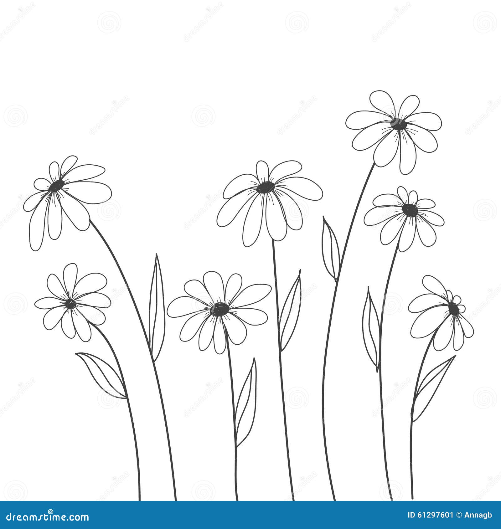 daisy flowers hand drawn  for background , decorate, cover