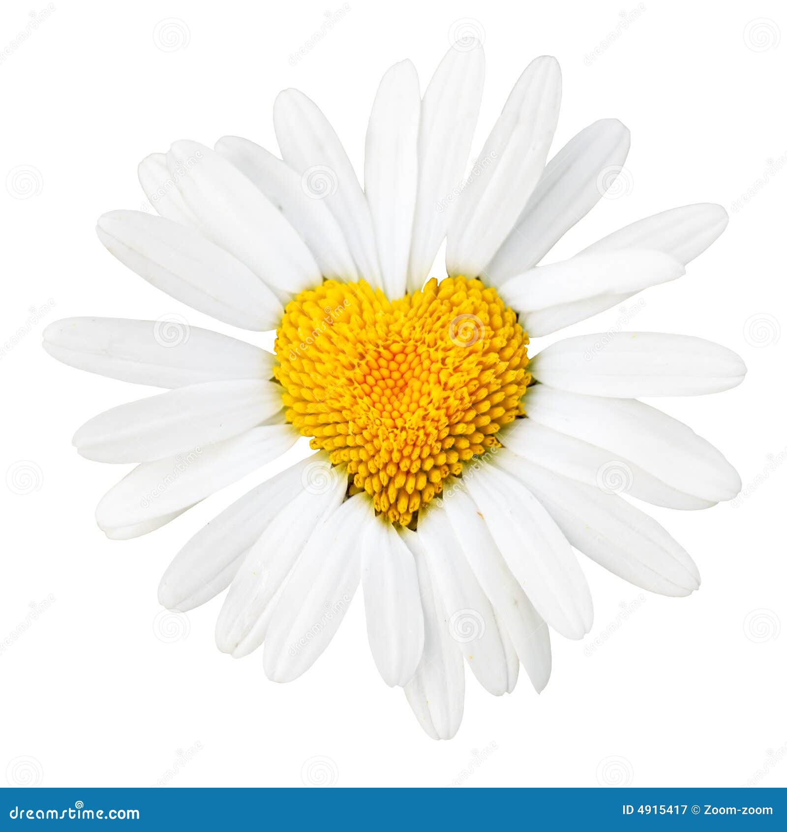 daisy with heart in center