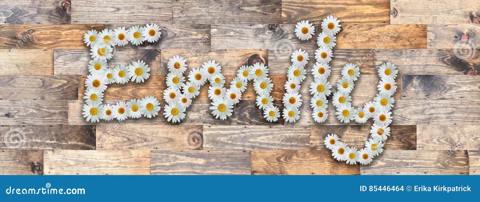 Daisy Name Emily Wood Background Stock Illustration Illustration of