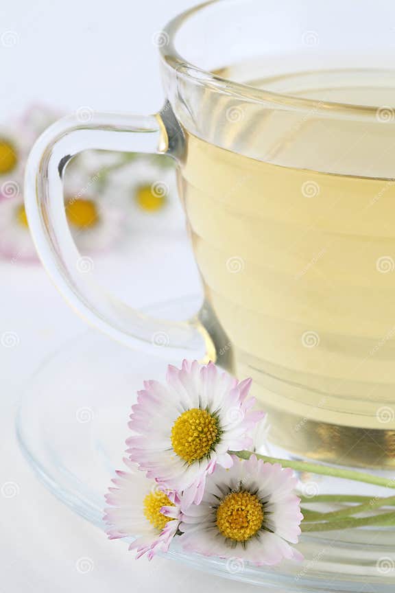 Daisy tea stock photo. Image of refreshment, yellow, diet 14502226