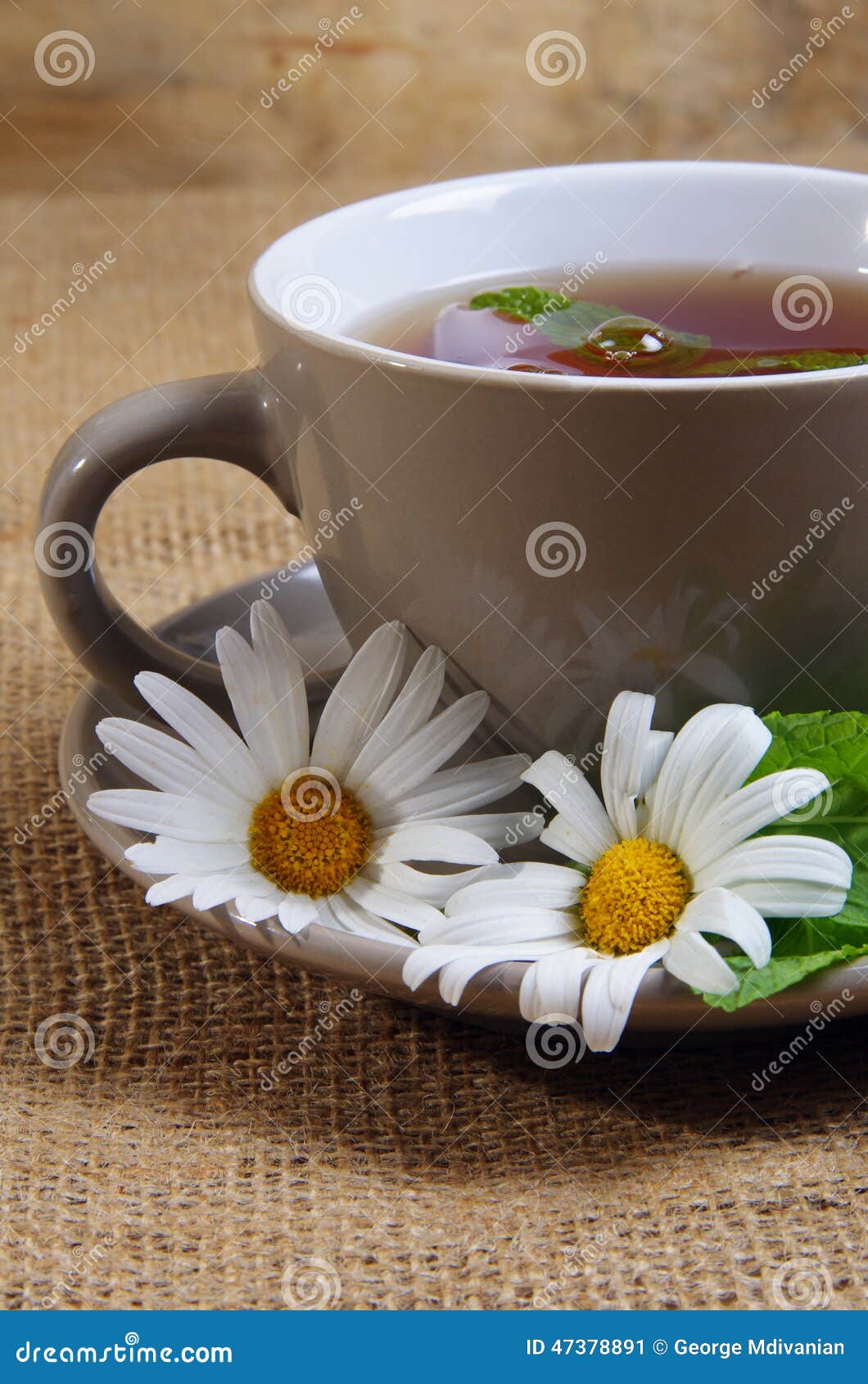 Daisy tea stock image. Image of life, chamomile, alternative 47378891