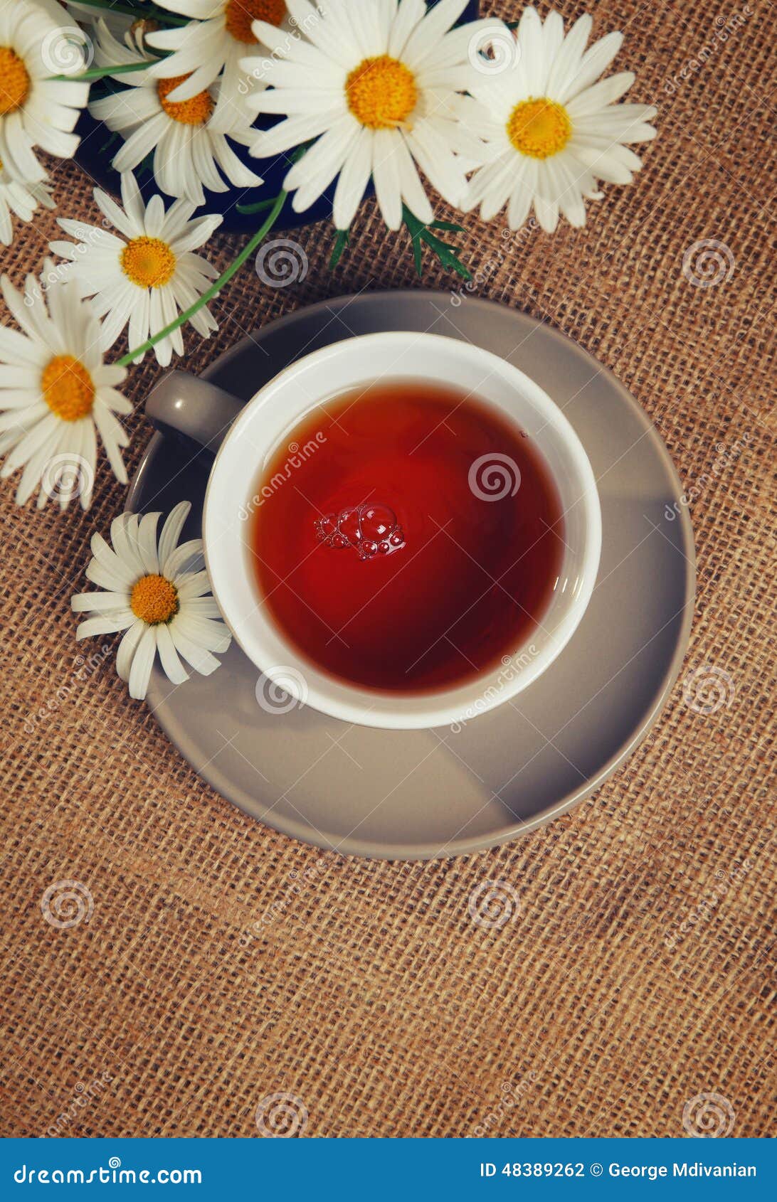 Daisy tea stock photo. Image of beverage, background 48389262