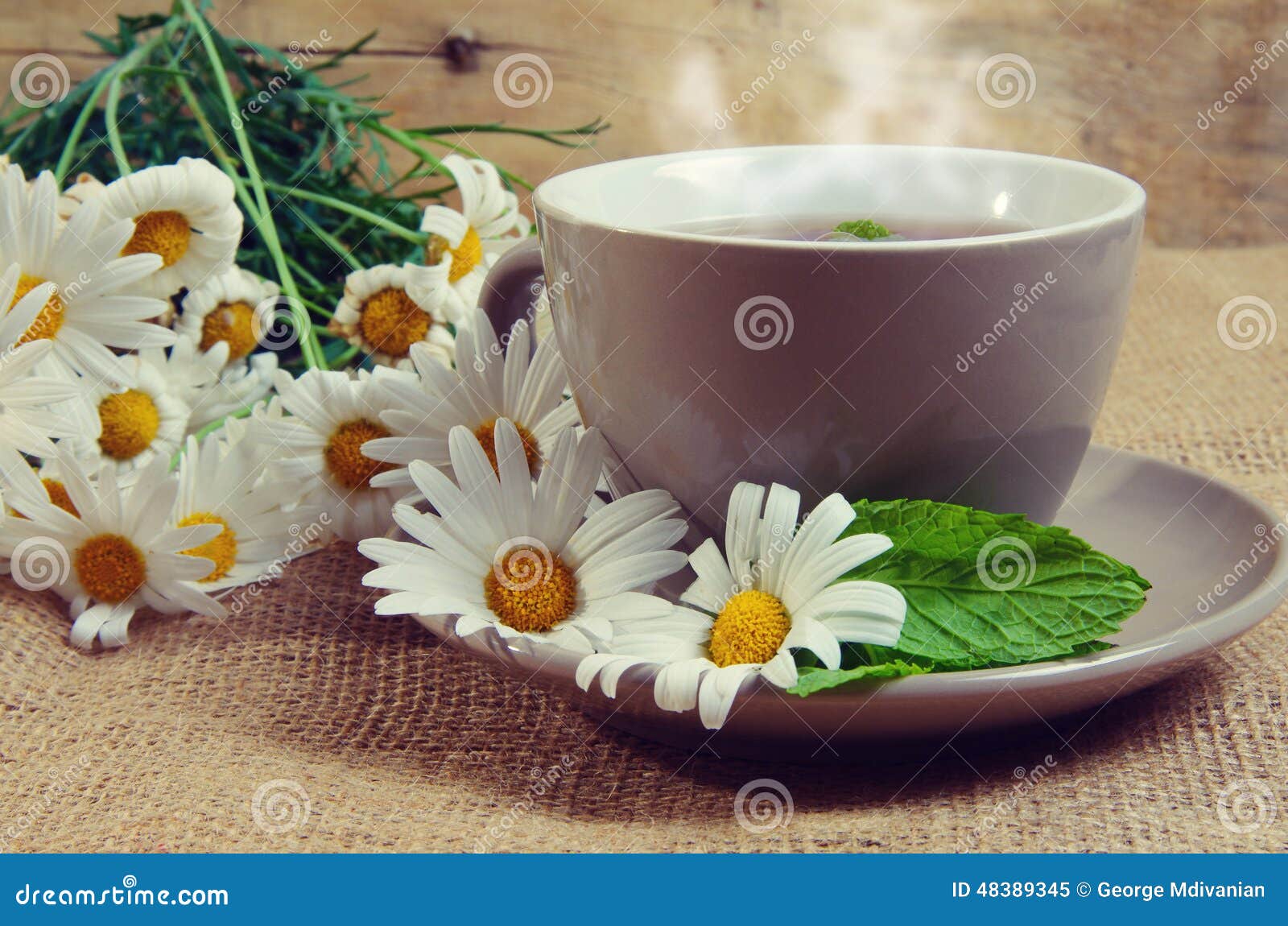 Daisy tea stock image. Image of flower, food, medicine 48389345