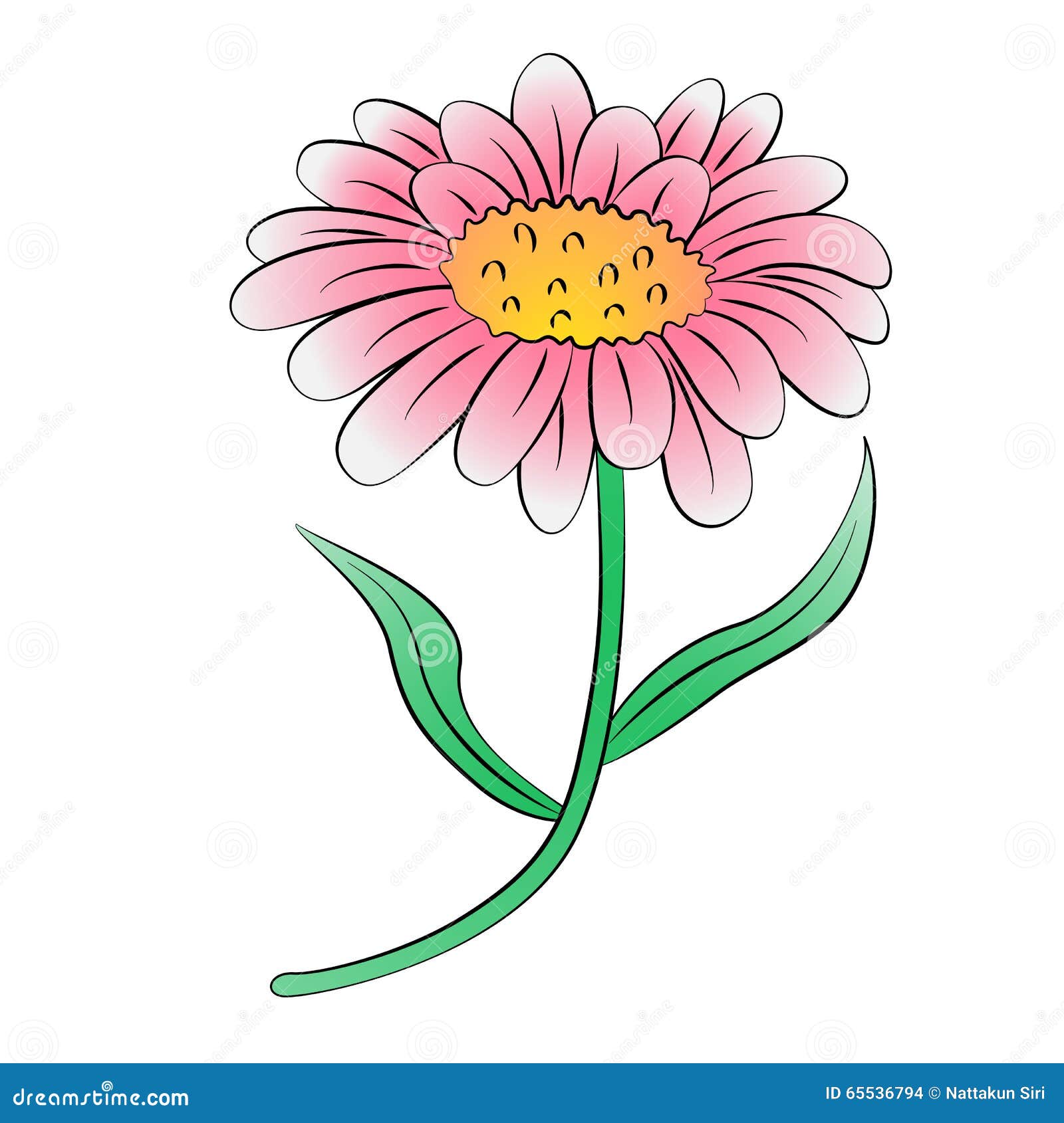 Daisy stock illustration. Illustration of chrysanthemum 65536794