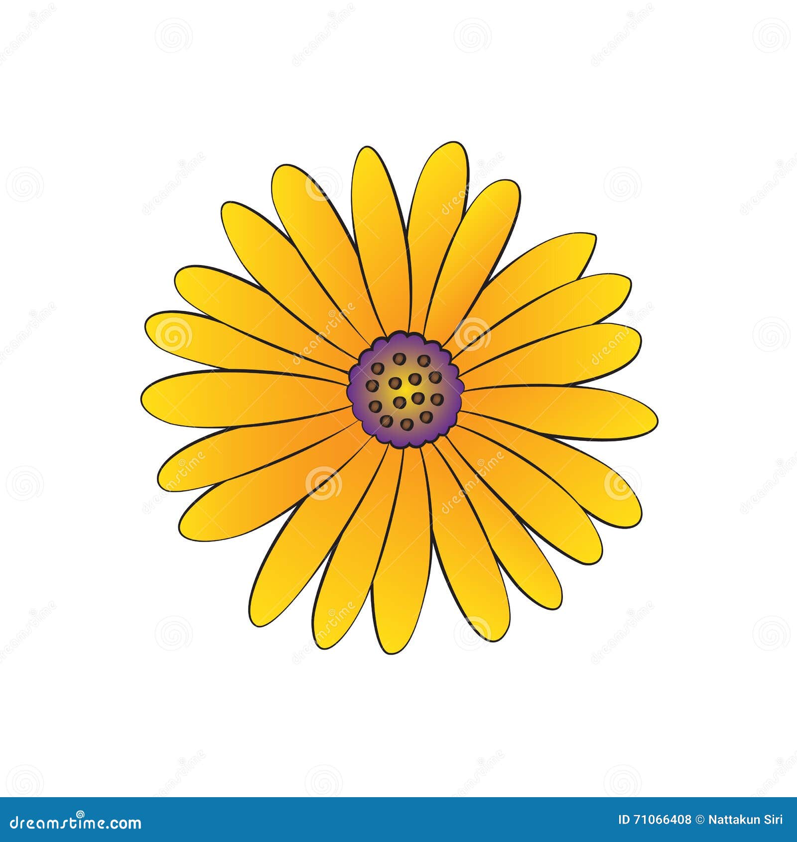 Daisy stock illustration. Illustration of pretty, closeup - 71066408