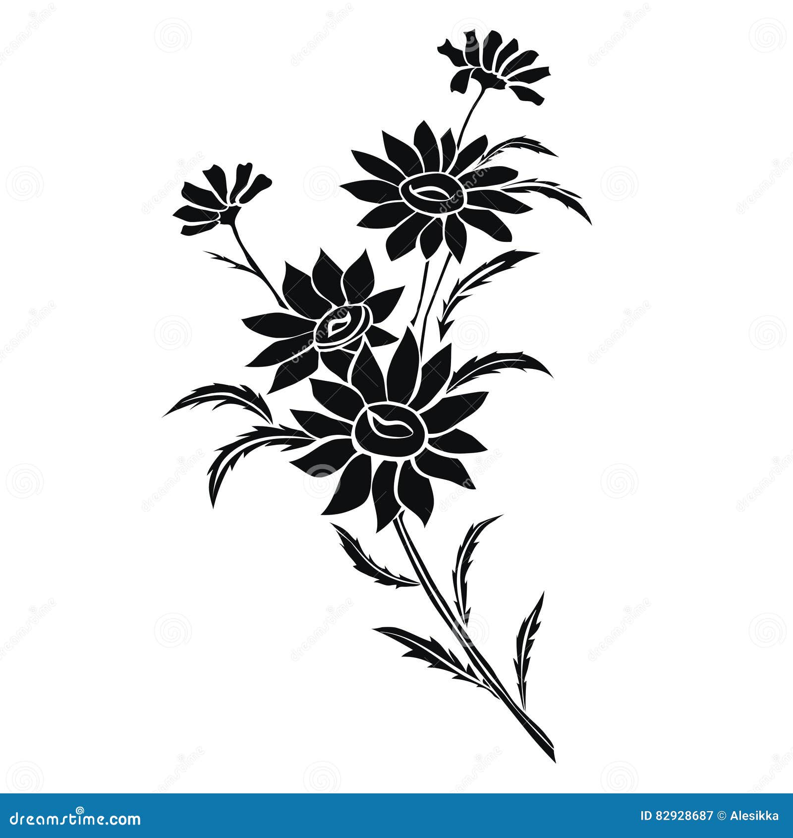 Daisy Wheels on White Background Stock Vector - Illustration of flora ...