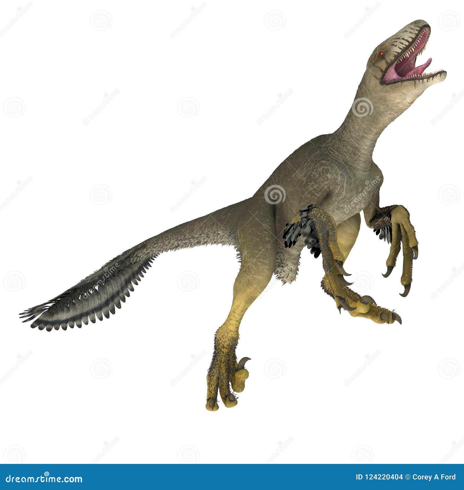 dakotaraptor dinosaur on white