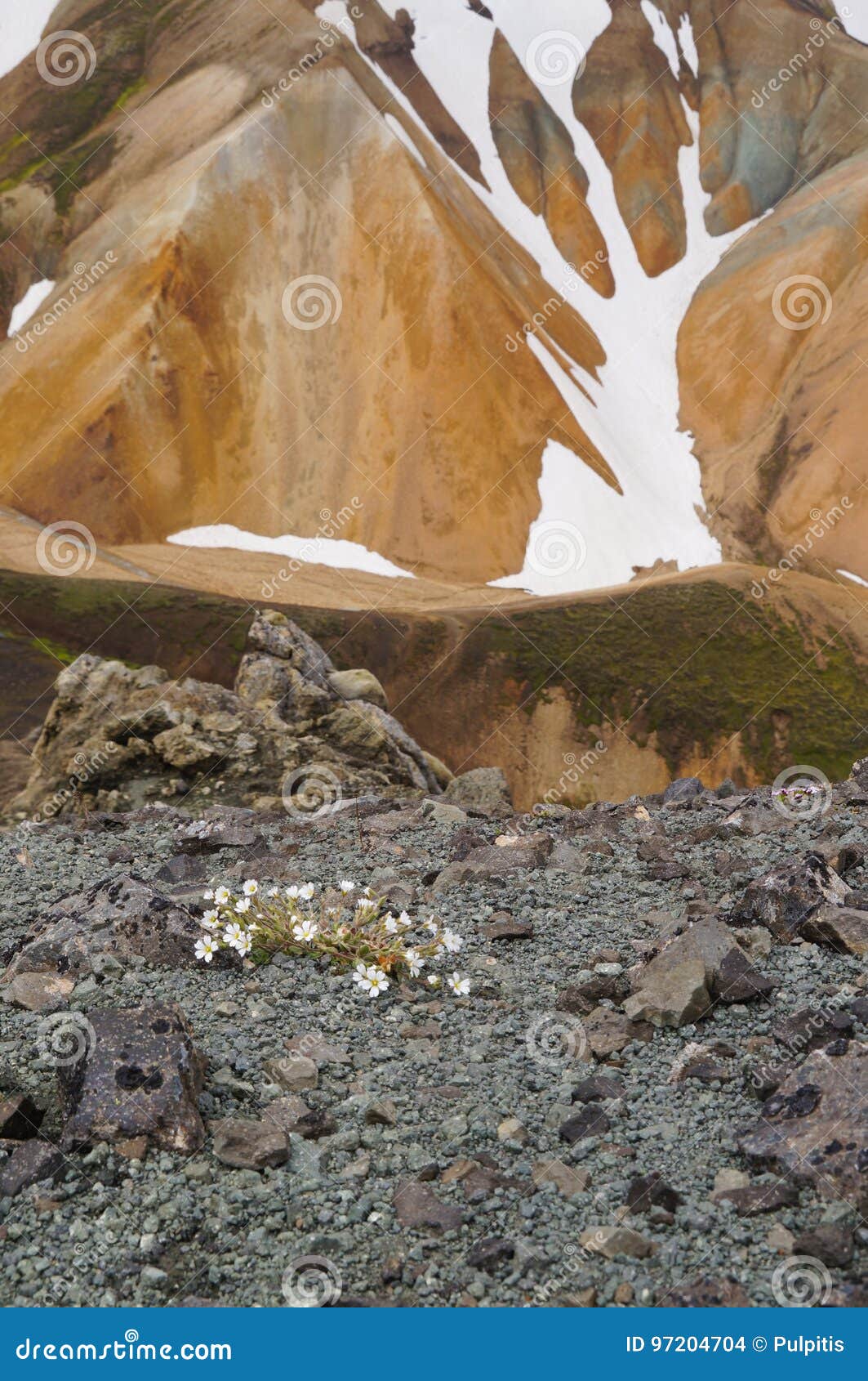 Dal av nationalparken Landmannalaugar i Island