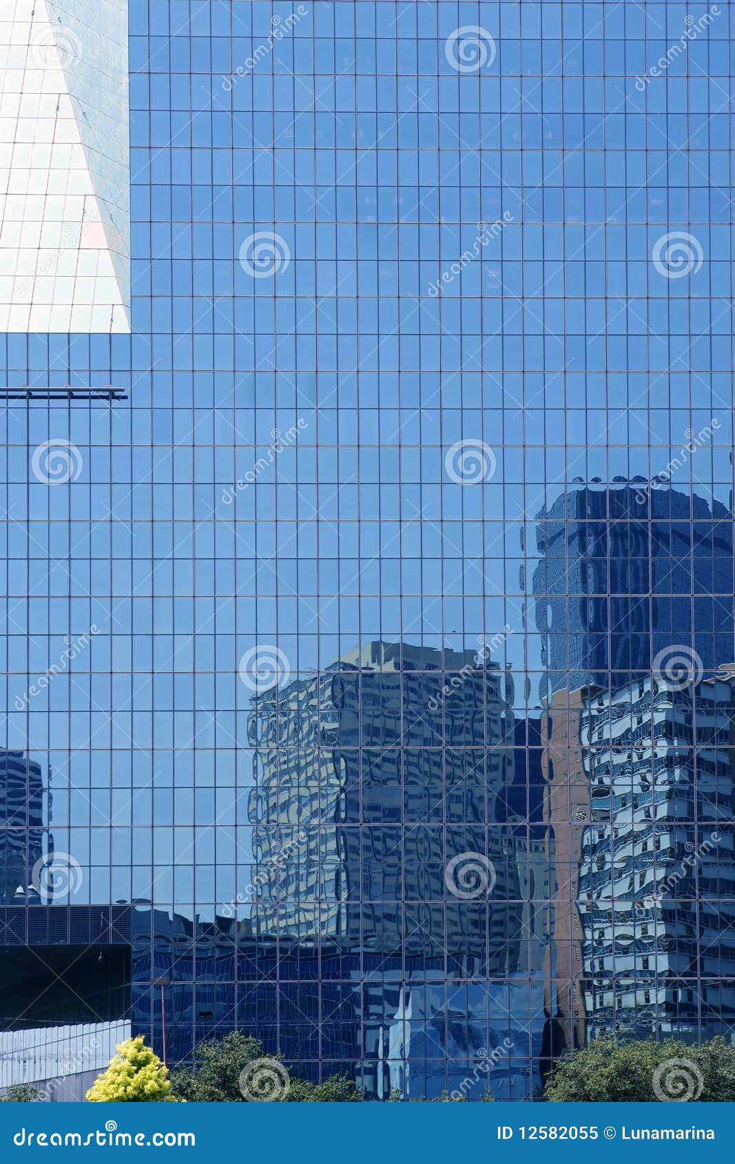 Dallas Downtown City Mirror Skyscraper Buildings Stock Image Image of