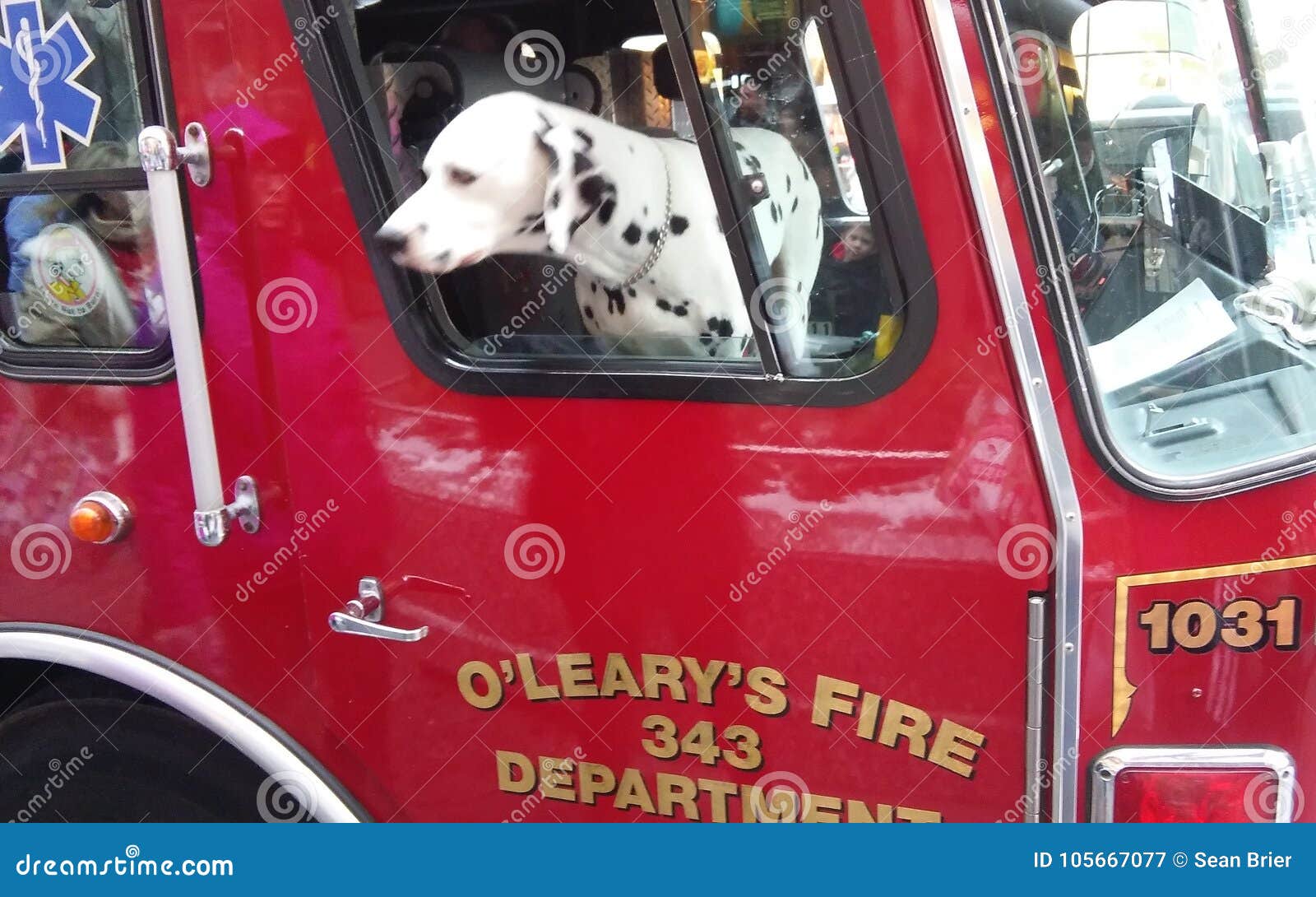 dalmation fire truck