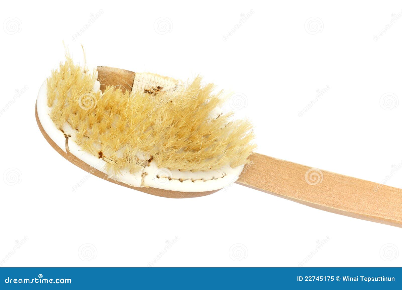 Damage Bath Brush Stock Image Image Of Scrub Hygiene 22745175 damage-bath-brush-stock-image-image-of-scrub-hygiene-22745175