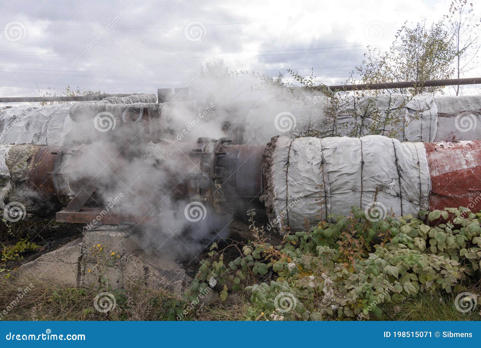 Damage on a Large Diameter Hot Water Pipe. Lots of Steam Around Stock Image Image of pipeline