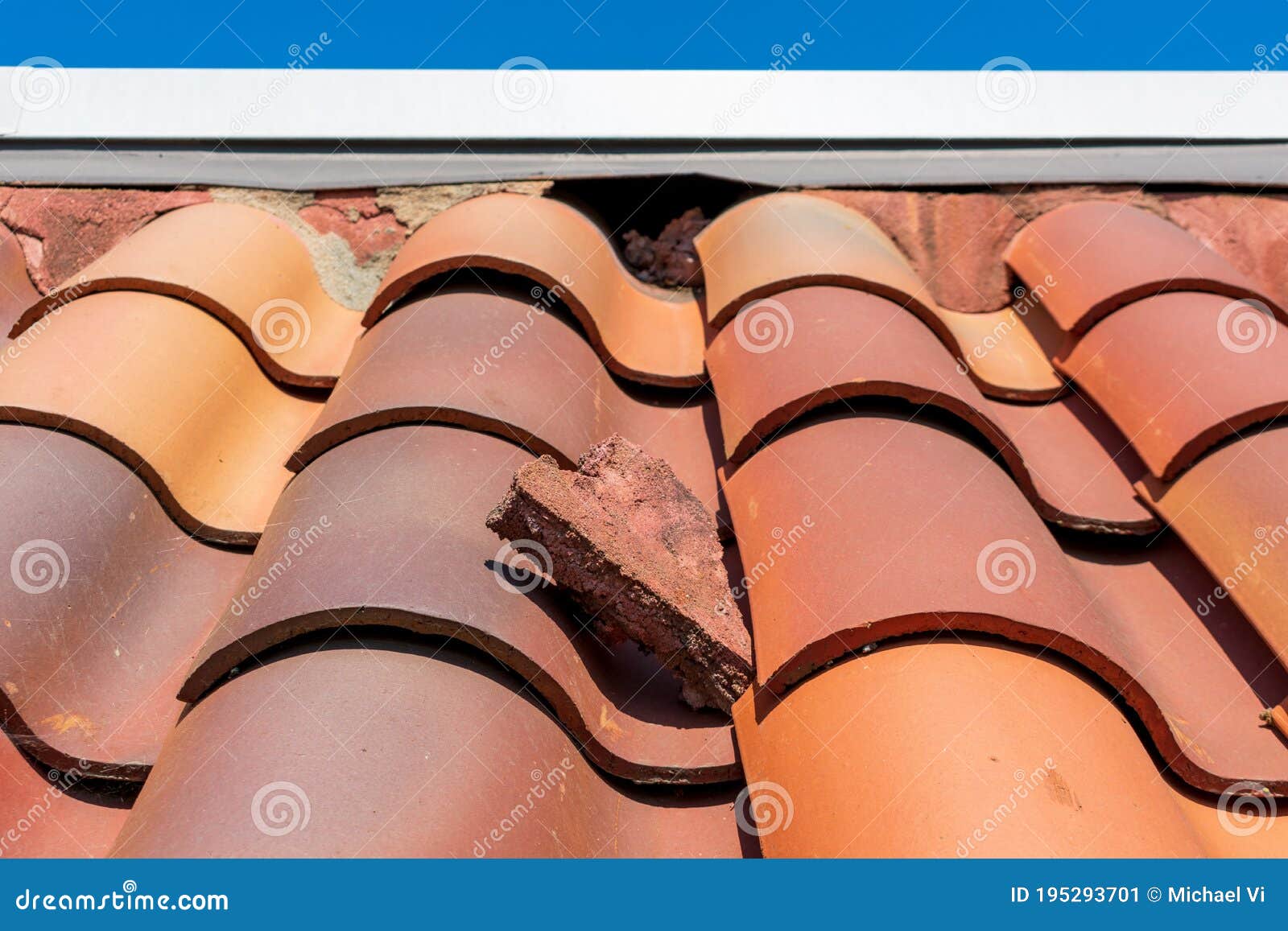 damaged bird stopper on the clay tile roof creates openings to birds and wildlife