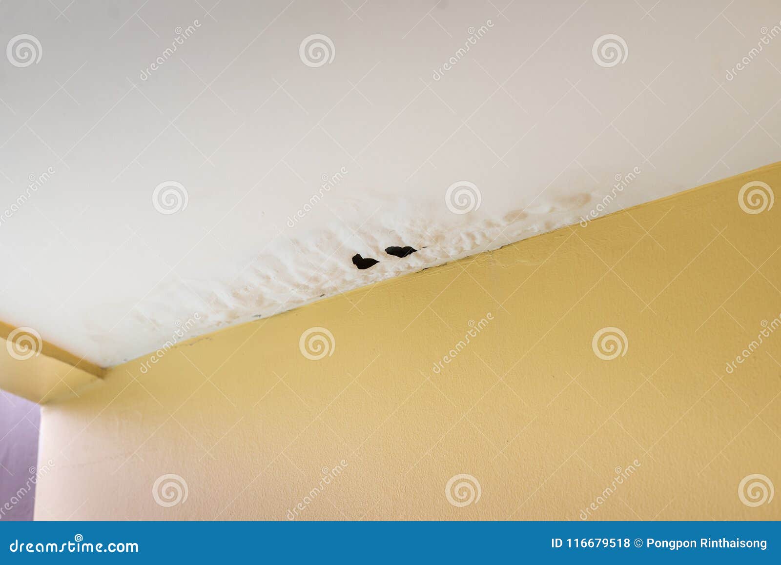 Damaged Ceiling From Water Leak Stock Photo Image Of