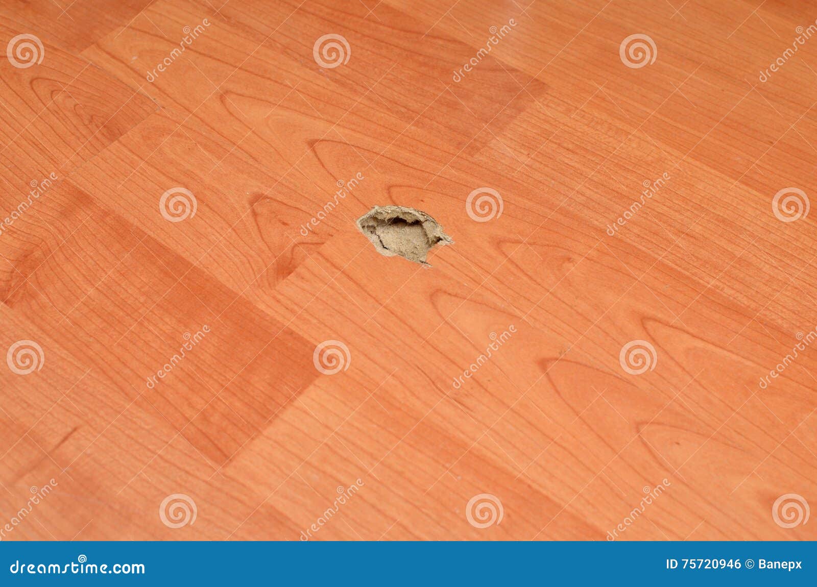 Damaged Laminate Floor stock photo. Image of home, inside 75720946