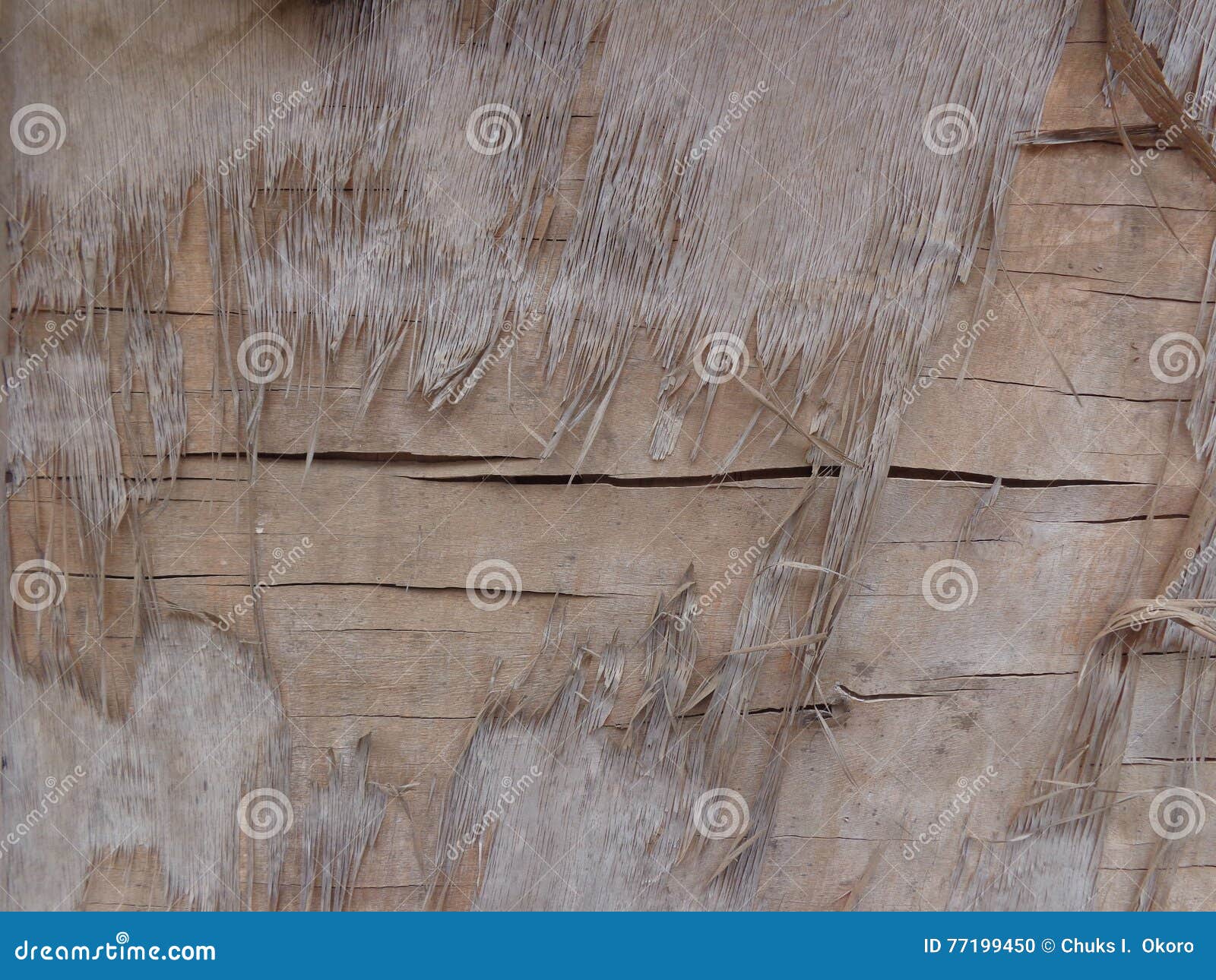 Damaged Old Plywood Texture Stock Photo Image of front, ireakari