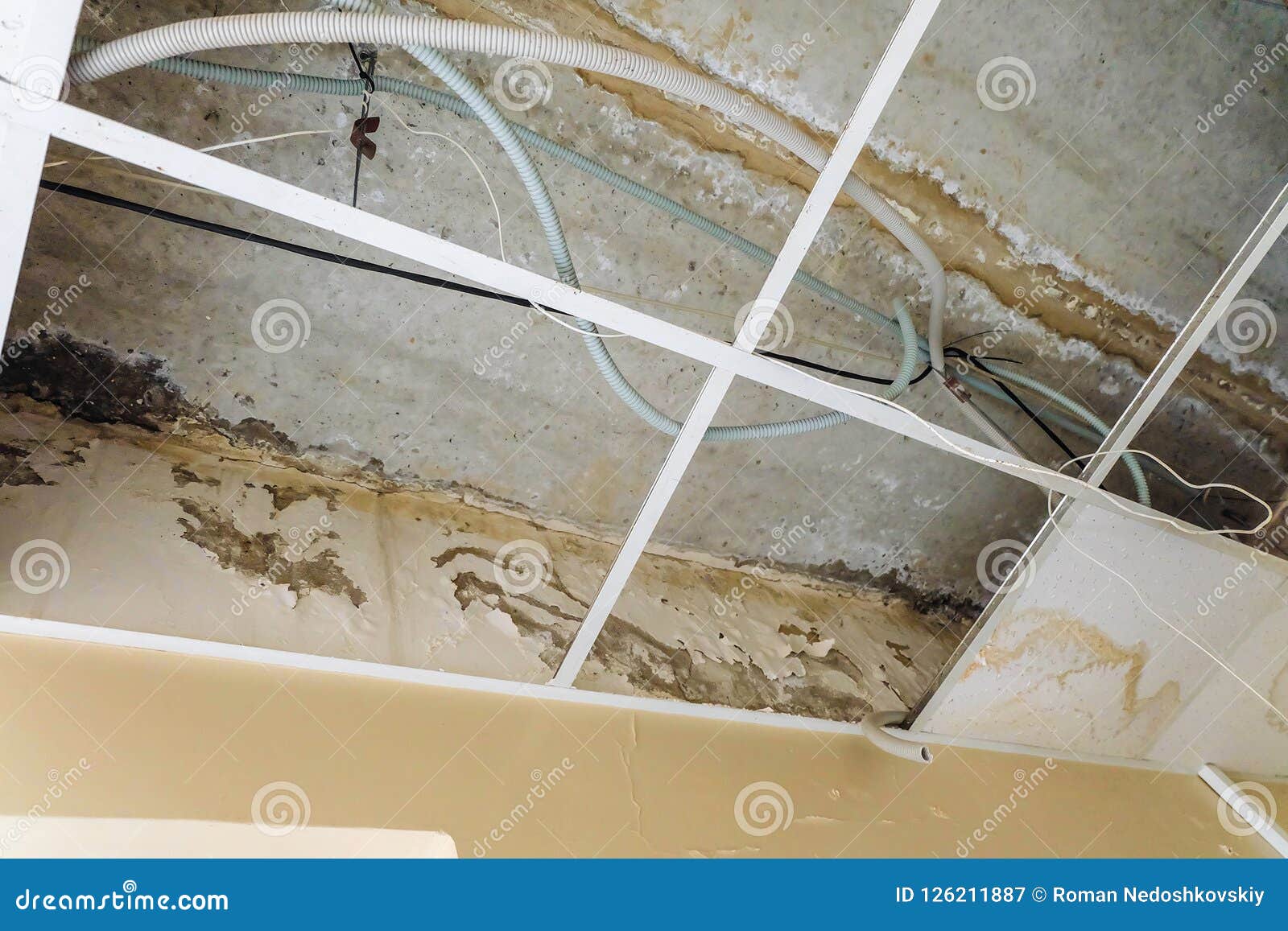 Damaged Suspended Ceiling With Water Leaks Stock Image Image Of