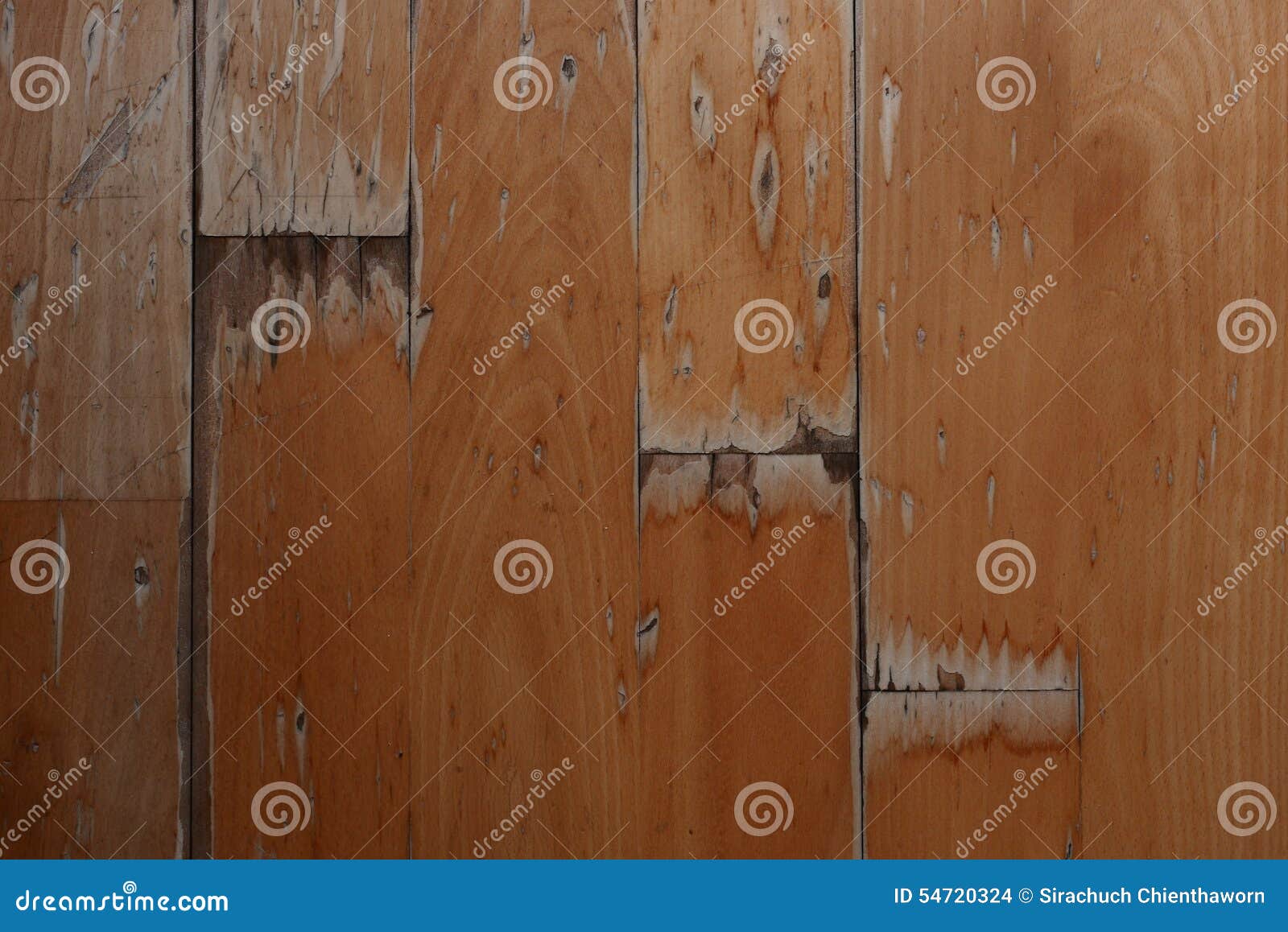 Damaged wood floor stock photo. Image of water, damaged 54720324