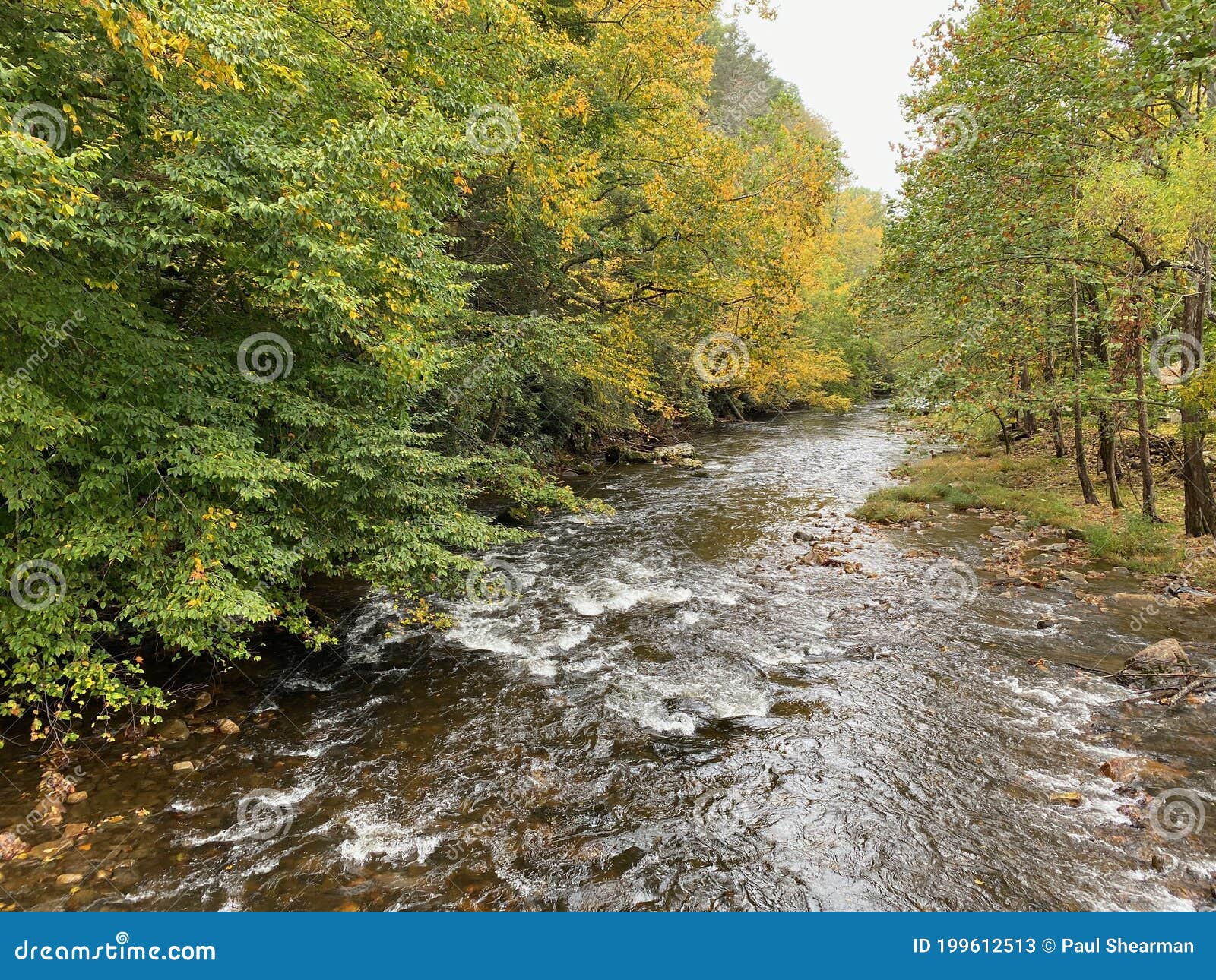 Stænke tavle praktiseret Damascus River Virginia stock image. Image of green - 199612513
