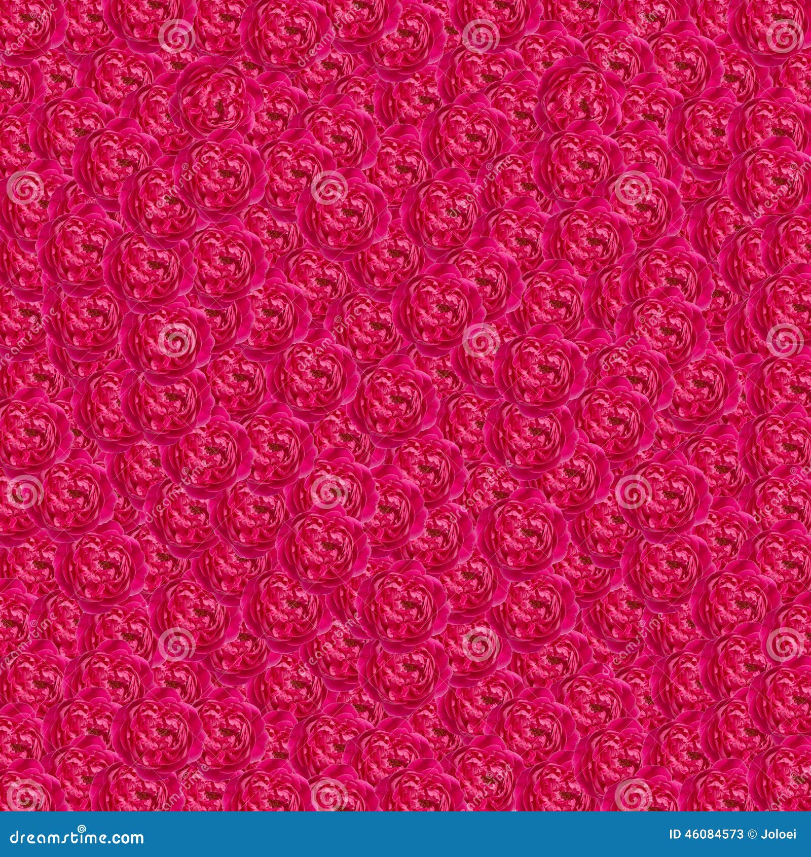 Damask rose background stock image. Image of feminine 46084573